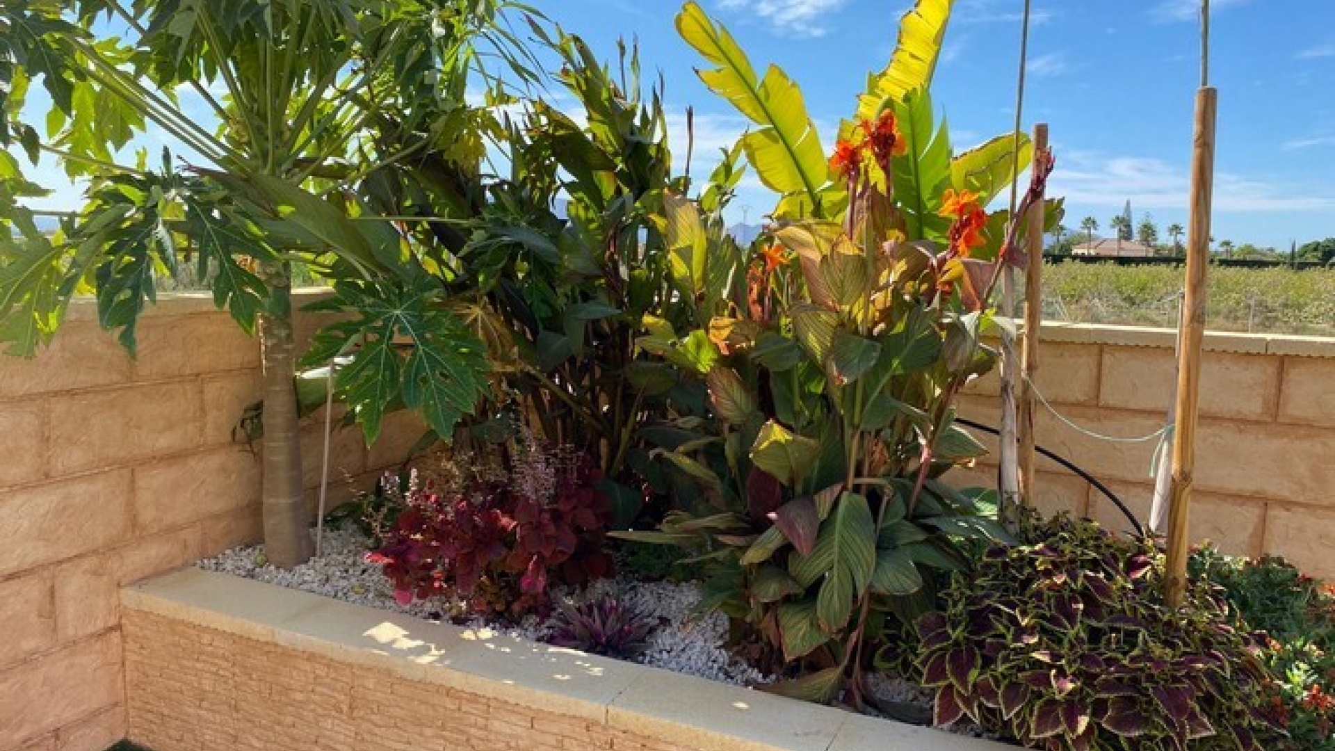 Wiederverkauf - Villa - Albatera - albatera