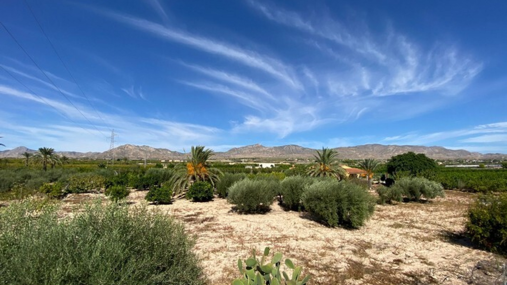 Wiederverkauf - Villa - Albatera - albatera