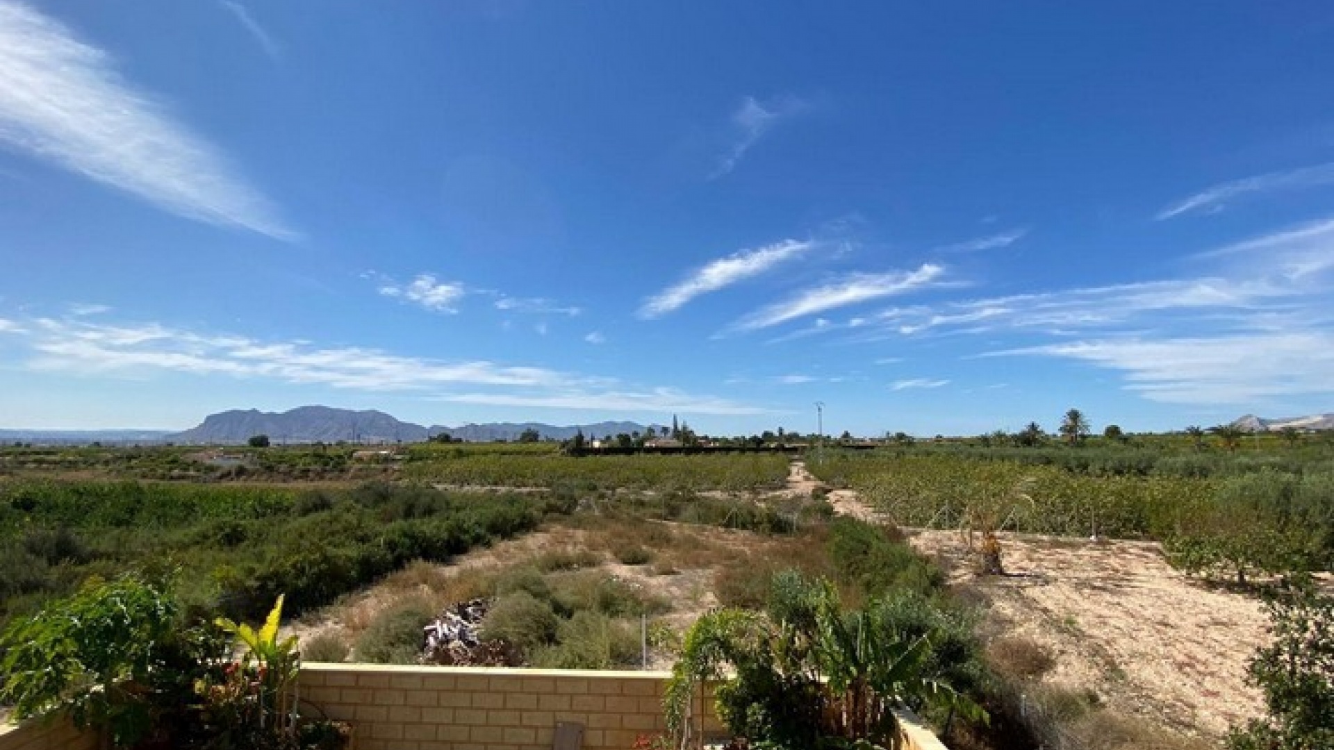 Wiederverkauf - Villa - Albatera - albatera