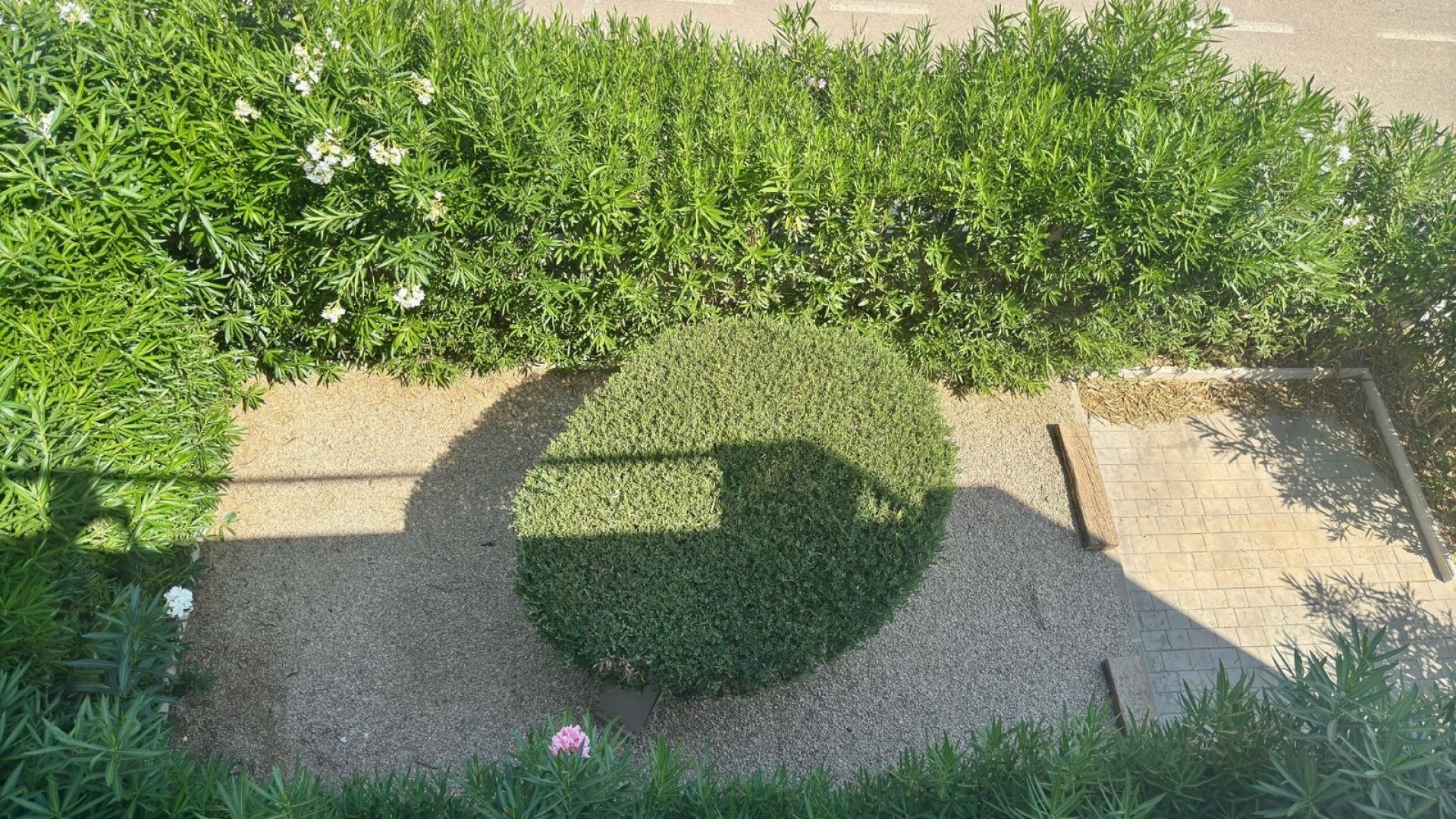 Wiederverkauf - Villa - Algorfa - La Finca Golf Resort