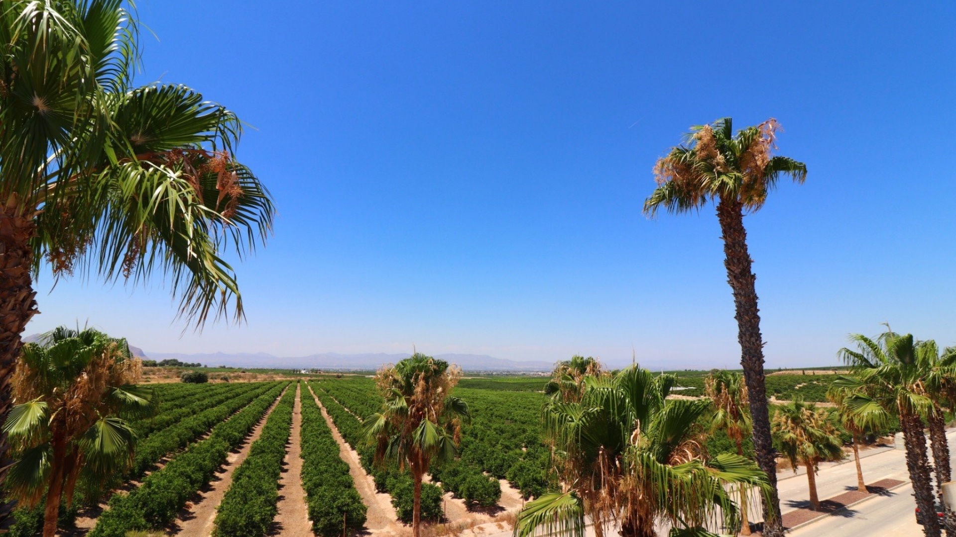 Wiederverkauf - Villa - Algorfa - La Finca Golf