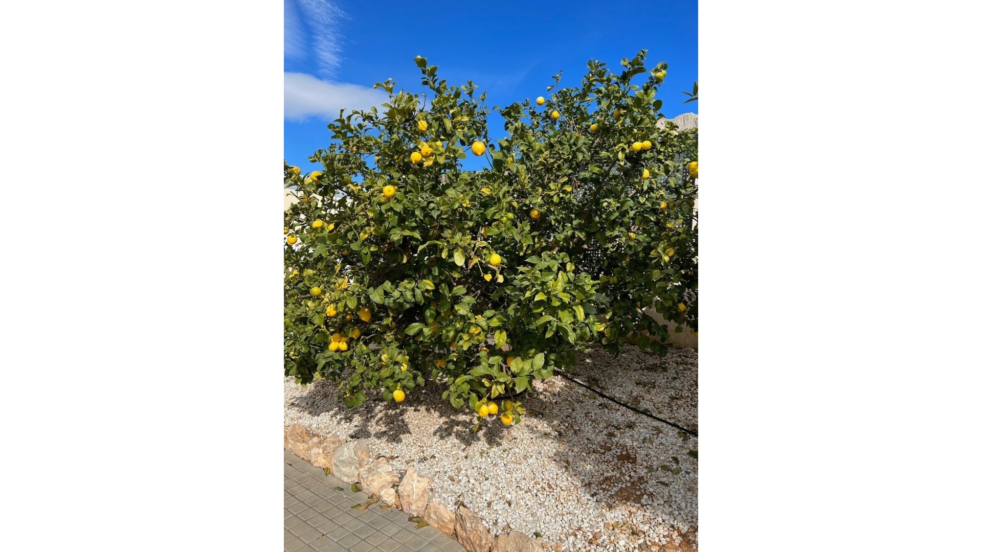 Wiederverkauf - Villa - Altea - Altea Centro