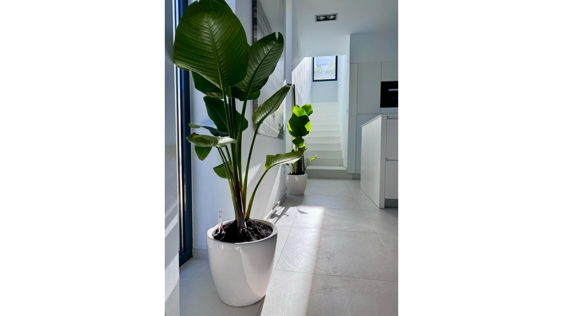 Wiederverkauf - Villa - Calpe - Calpe Centro