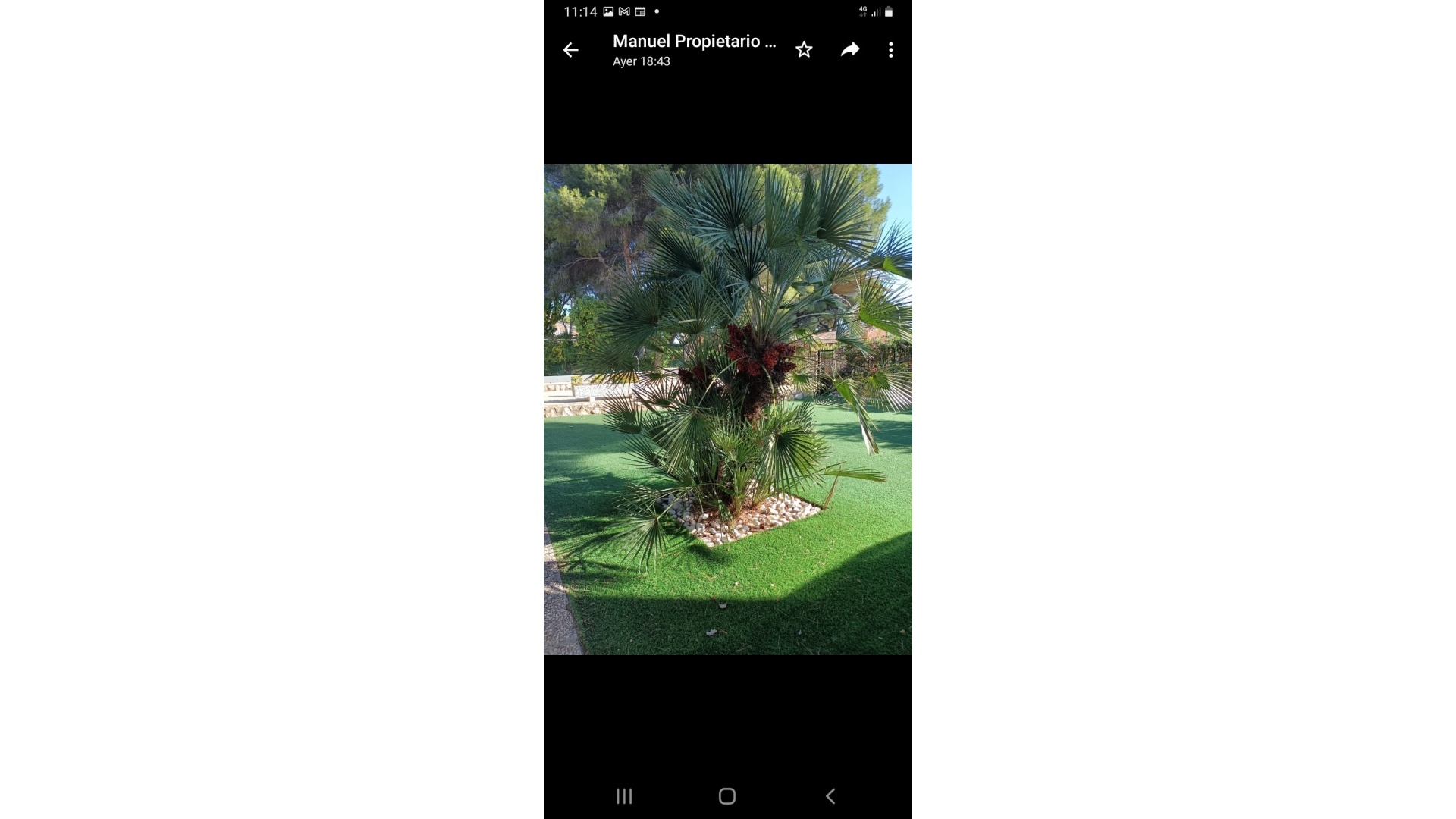 Wiederverkauf - Villa - Campoamor - Beachside Campoamor