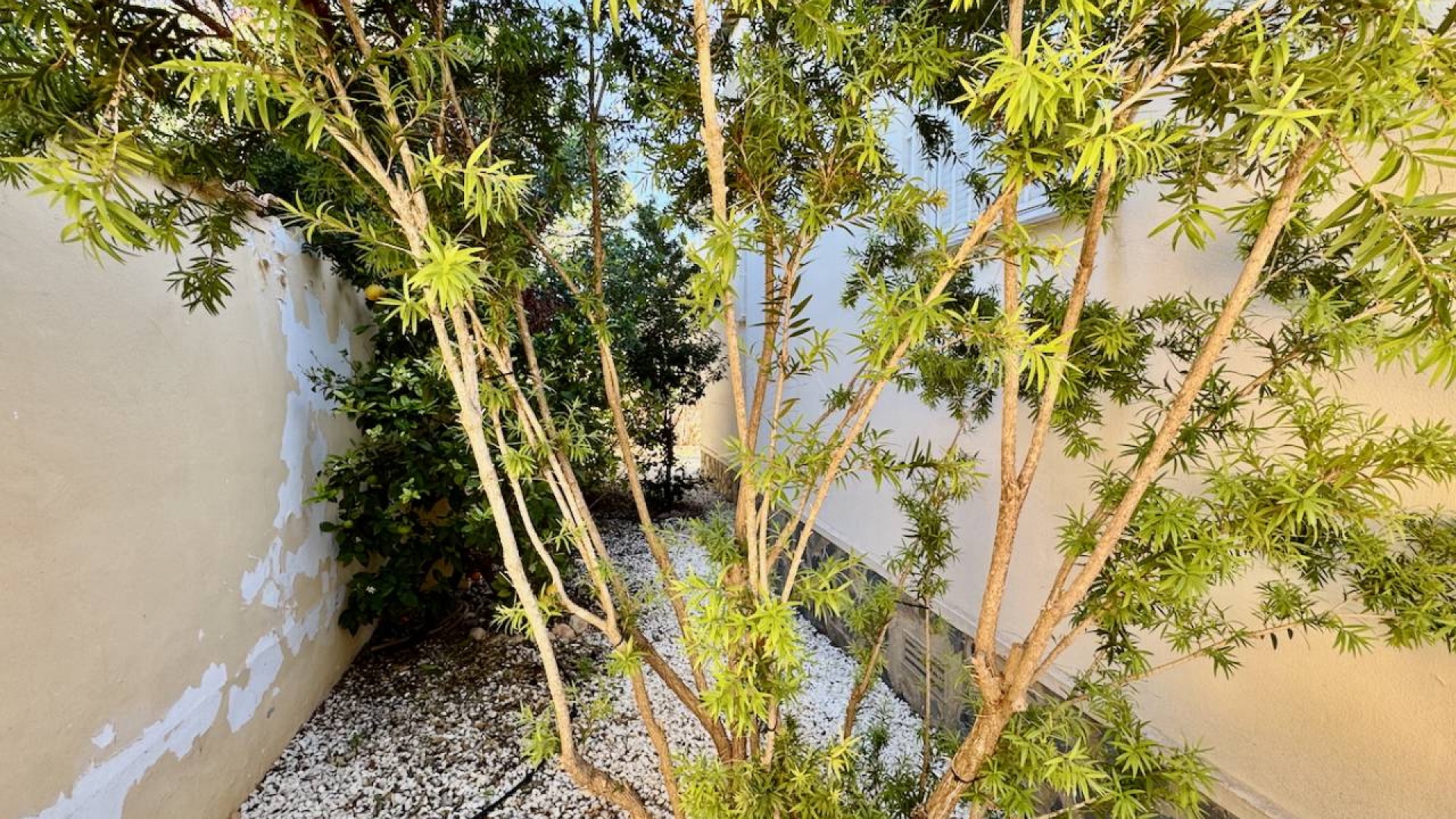 Wiederverkauf - Villa - Ciudad Quesada - Lo Pepin