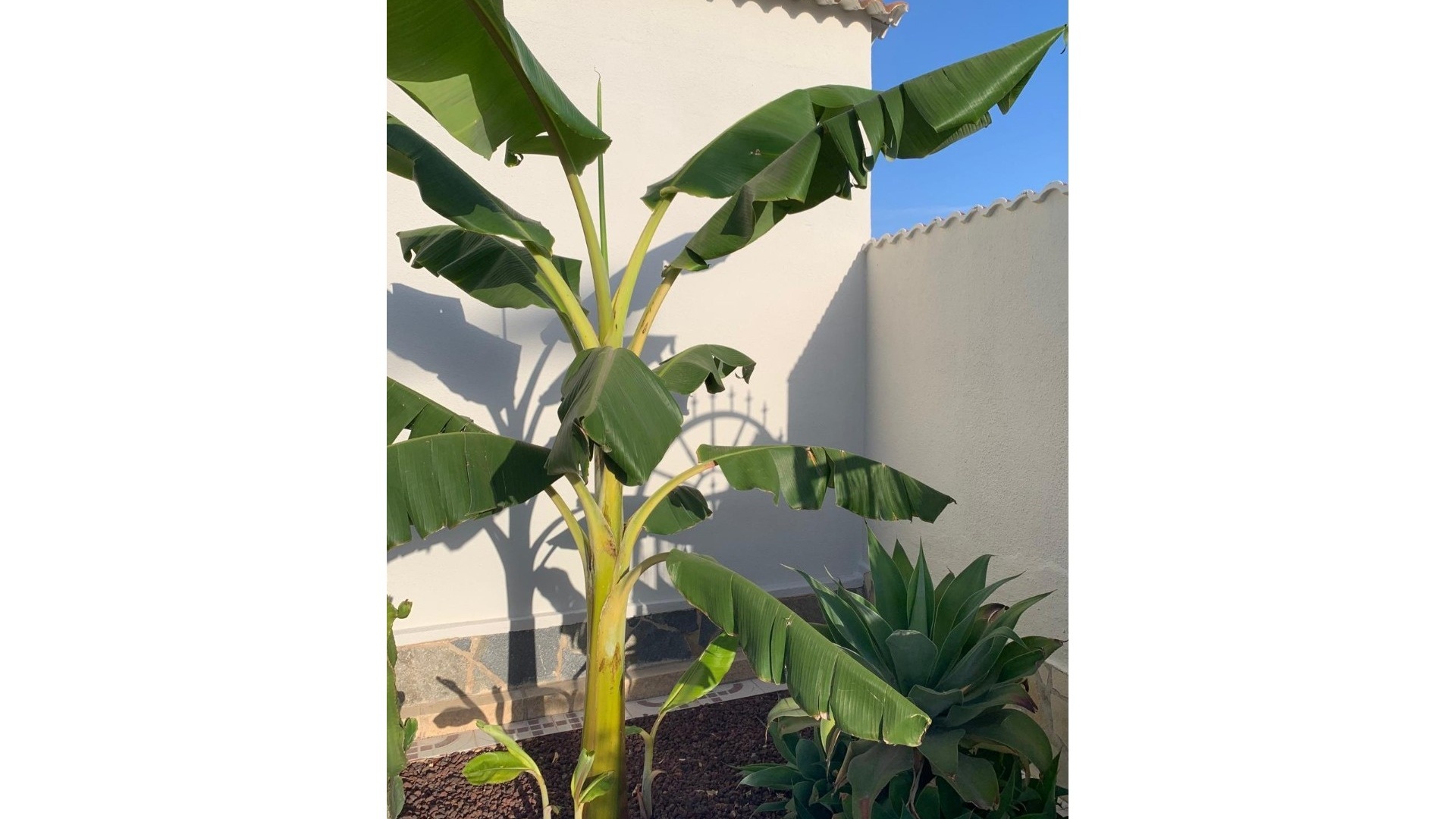 Wiederverkauf - Villa - Ciudad Quesada - Quesada Center