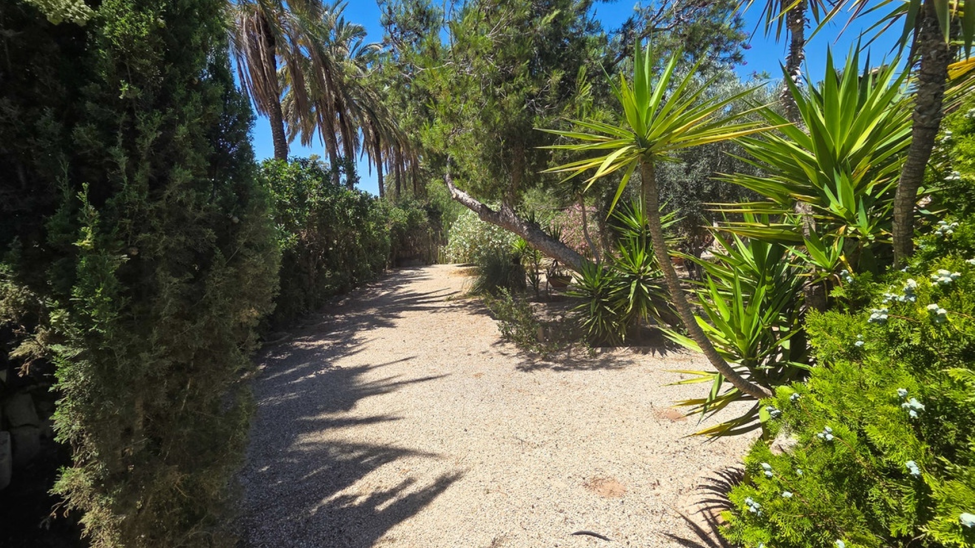 Wiederverkauf - Villa - Elche - Elche Centro
