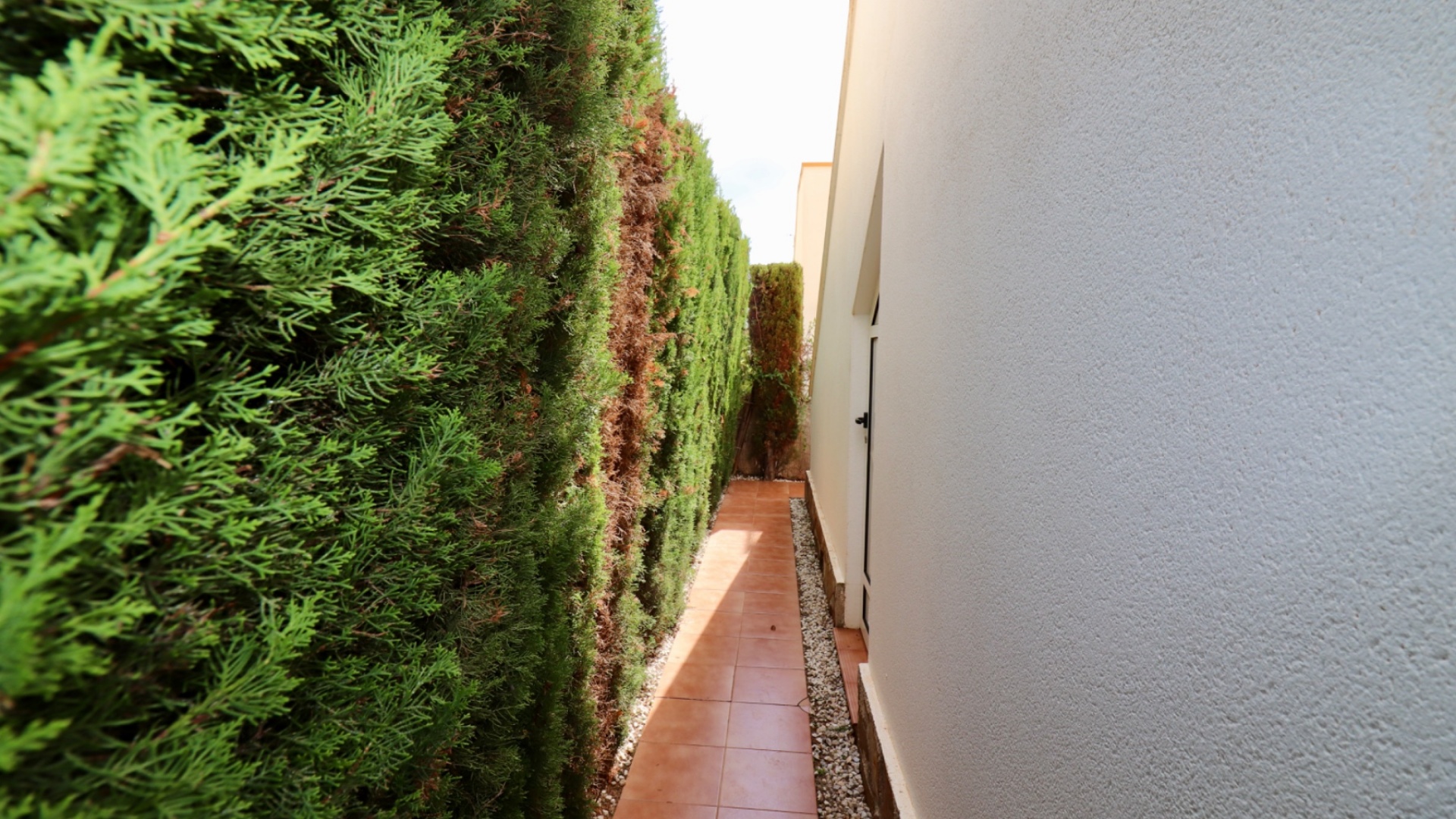 Wiederverkauf - Villa - Guardamar del Segura - El Raso