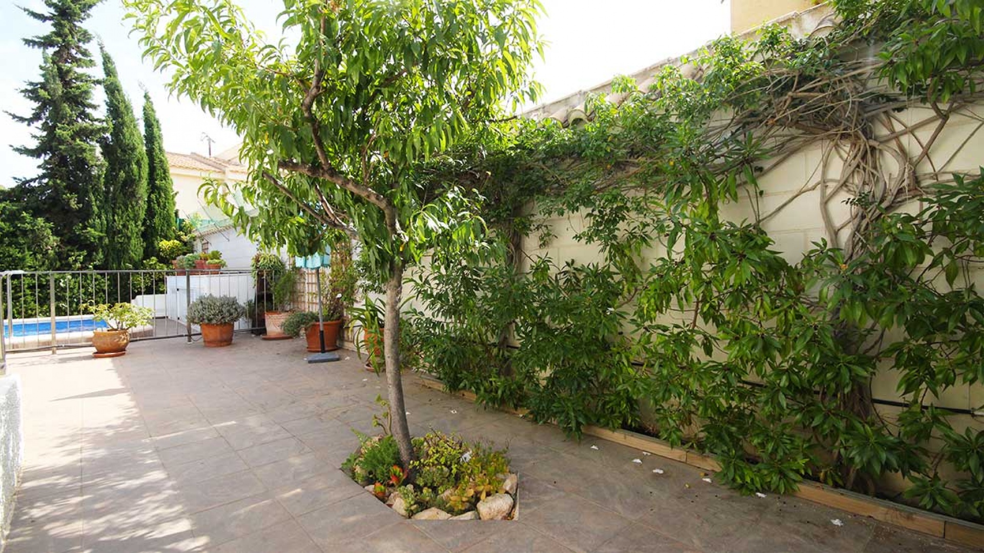 Wiederverkauf - Villa - La Zenia - beachside la zenia