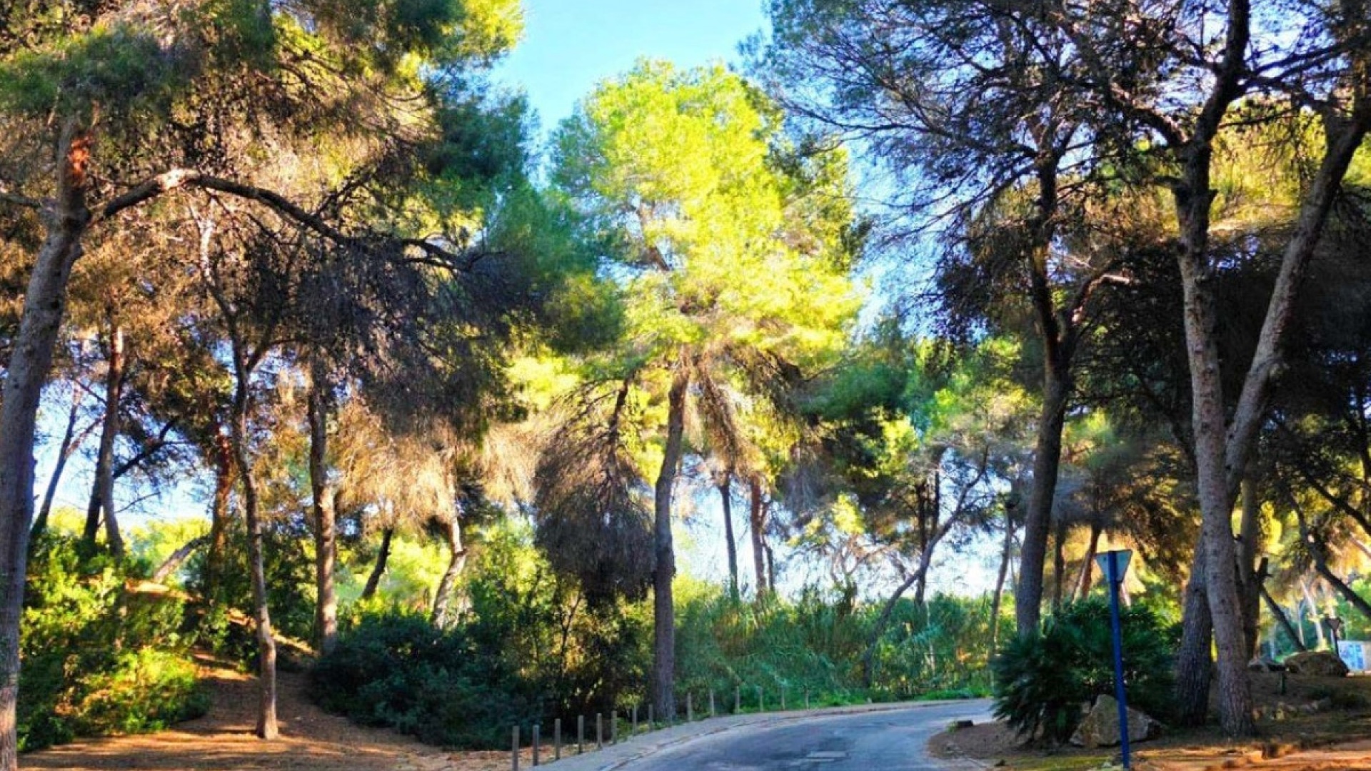 Wiederverkauf - Villa - Orihuela - Campoamor