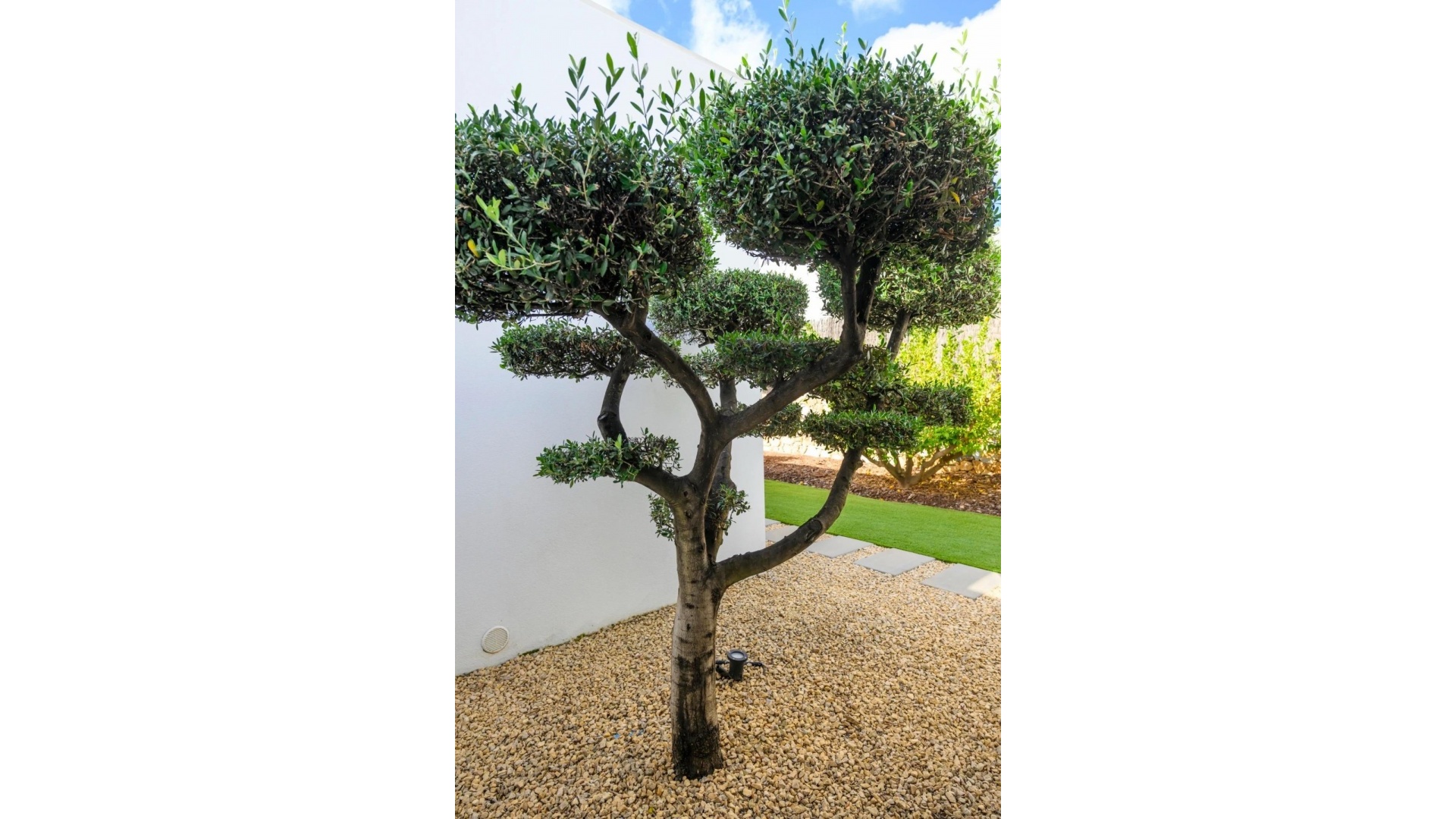 Wiederverkauf - Villa - Orihuela - Las Colinas Golf Resort