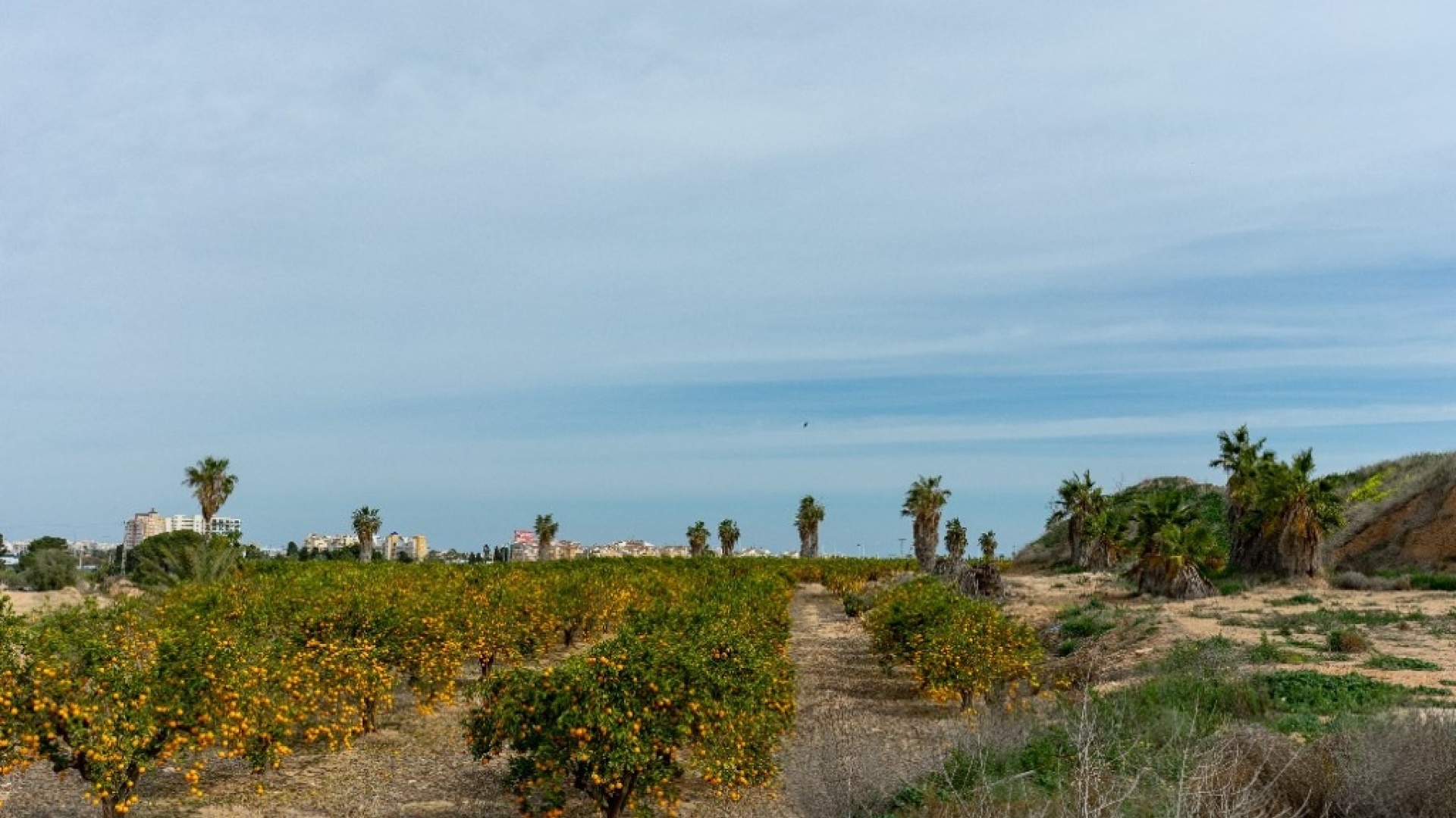 Wiederverkauf - Villa - Orihuela - Los Altos