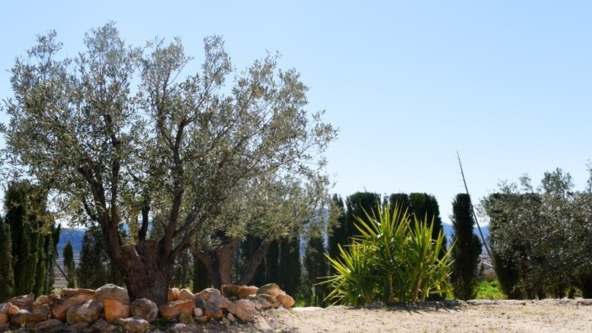 Wiederverkauf - Villa - Pinoso - Pinoso Centro