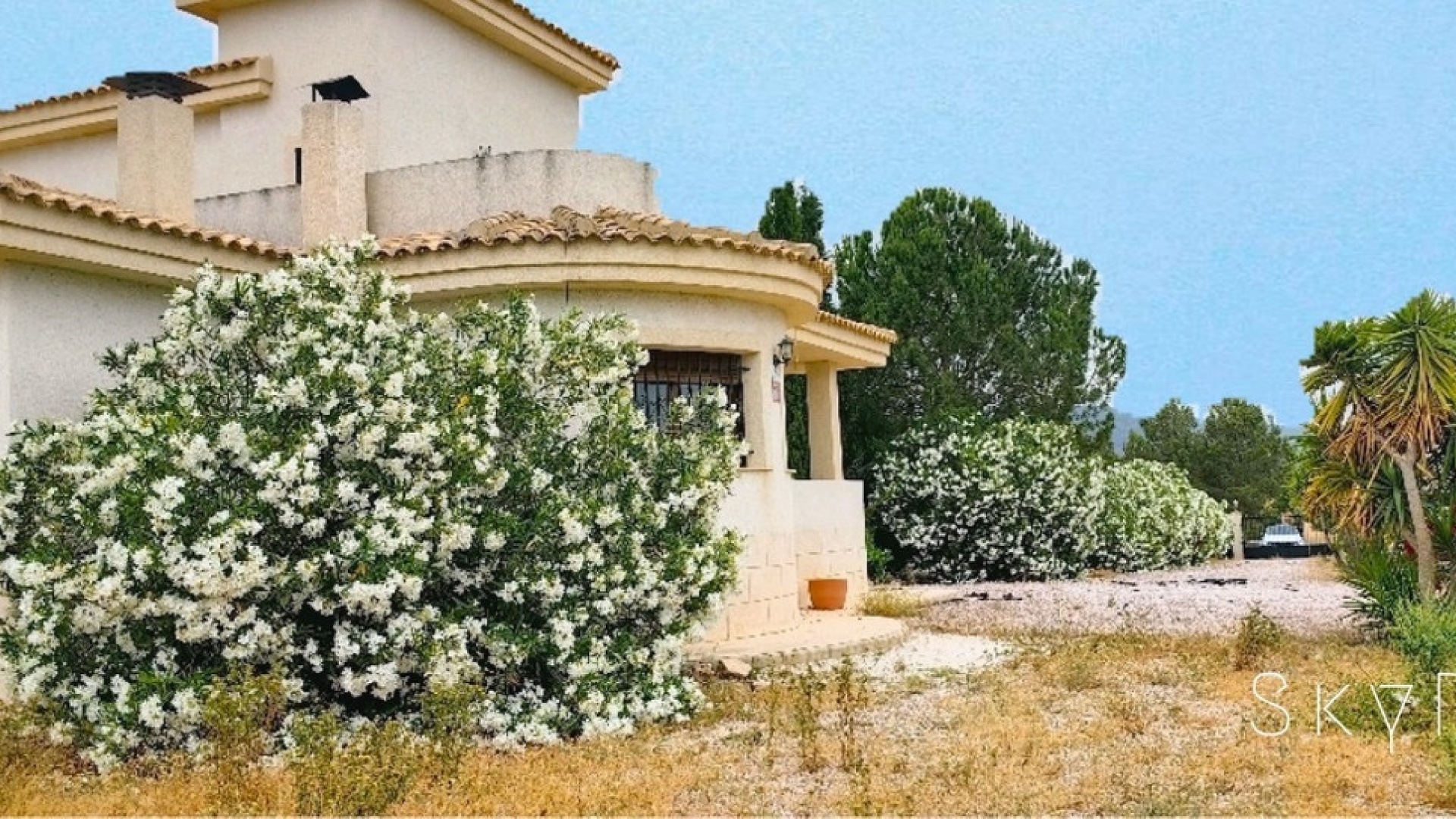 Wiederverkauf - Villa - Pinoso - Pinoso Centro
