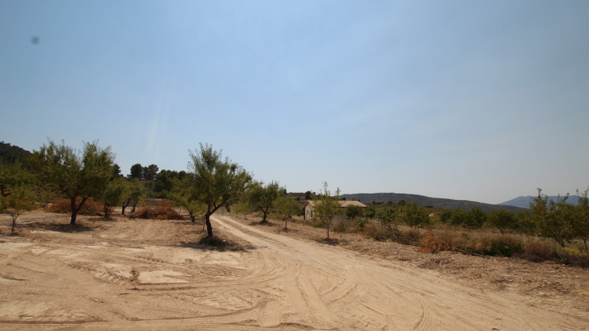 Wiederverkauf - Villa - Pinoso - Pinoso Centro