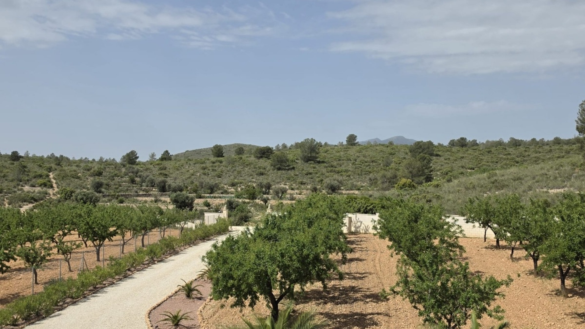 Wiederverkauf - Villa - Pinoso - Pinoso Centro