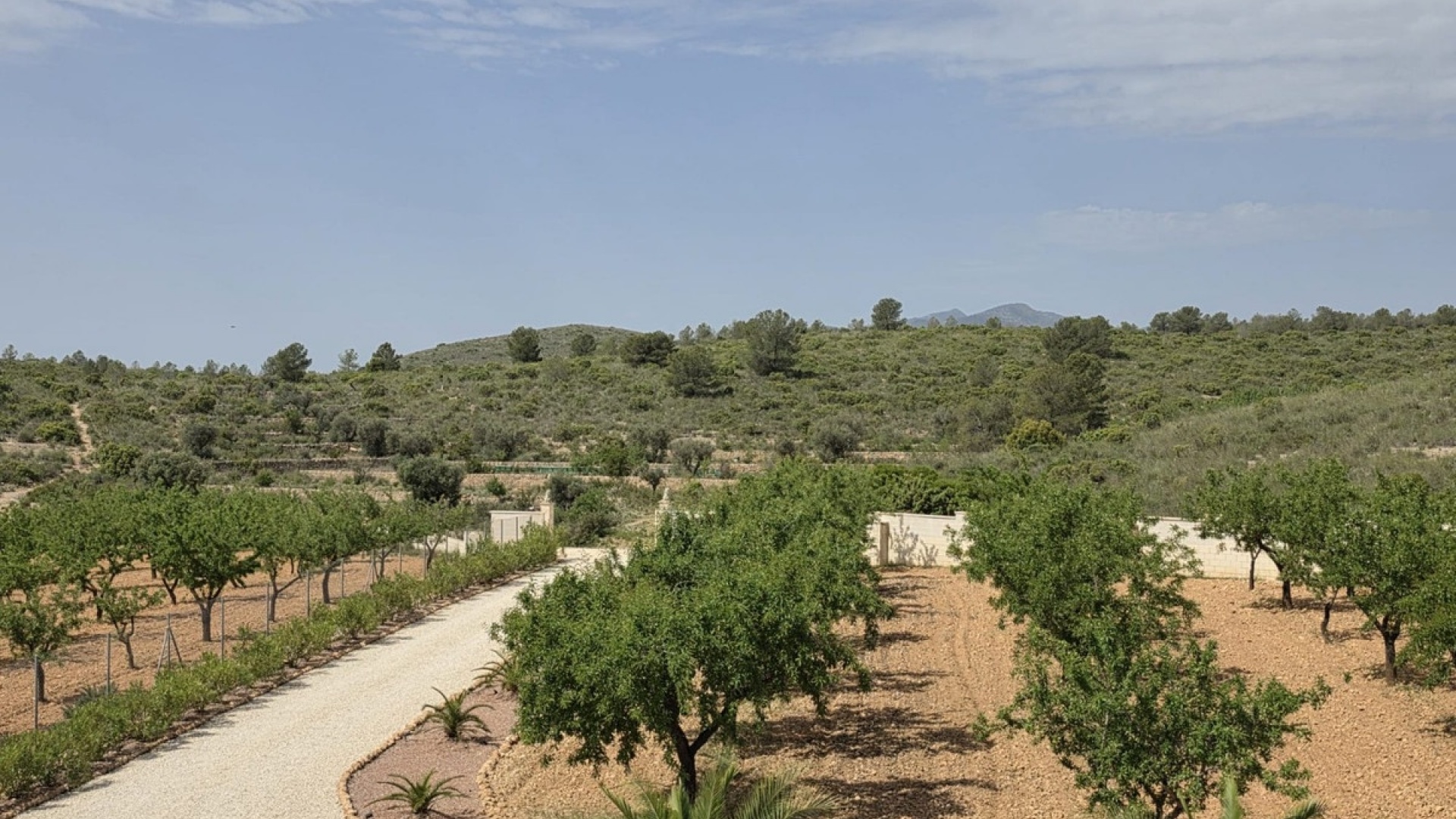 Wiederverkauf - Villa - Pinoso - Pinoso Centro