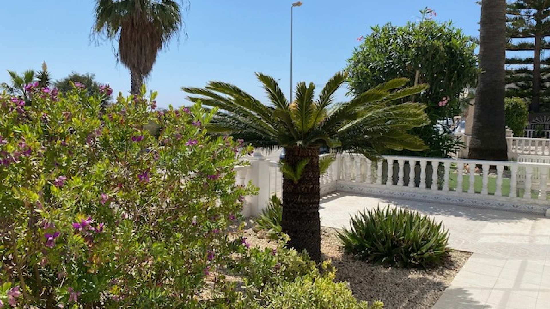 Wiederverkauf - Villa - Playa Flamenca - serena