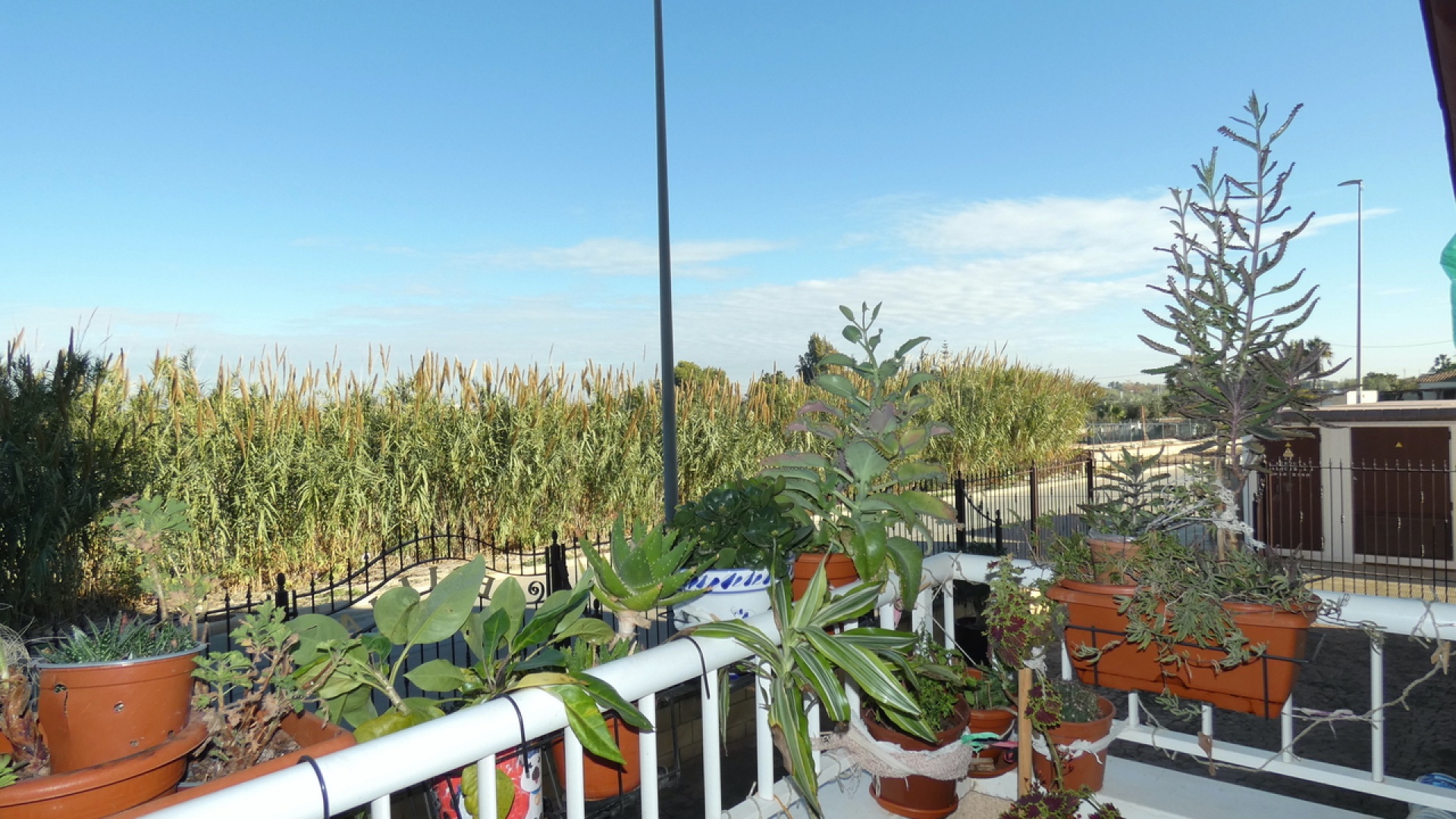 Wiederverkauf - Wohnung - Algorfa - res cecilia