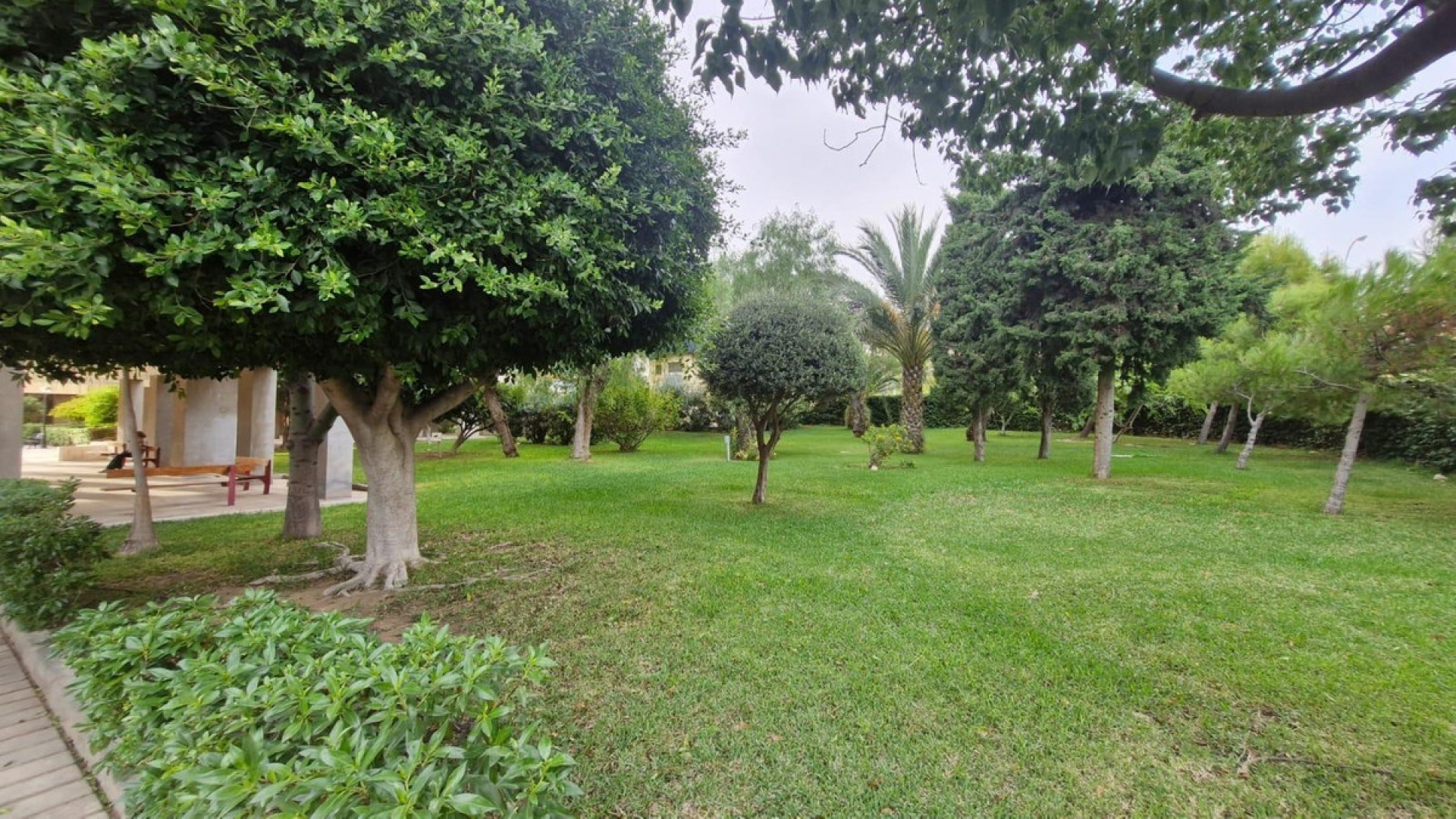 Wiederverkauf - Wohnung - Alicante - Alicante Centro