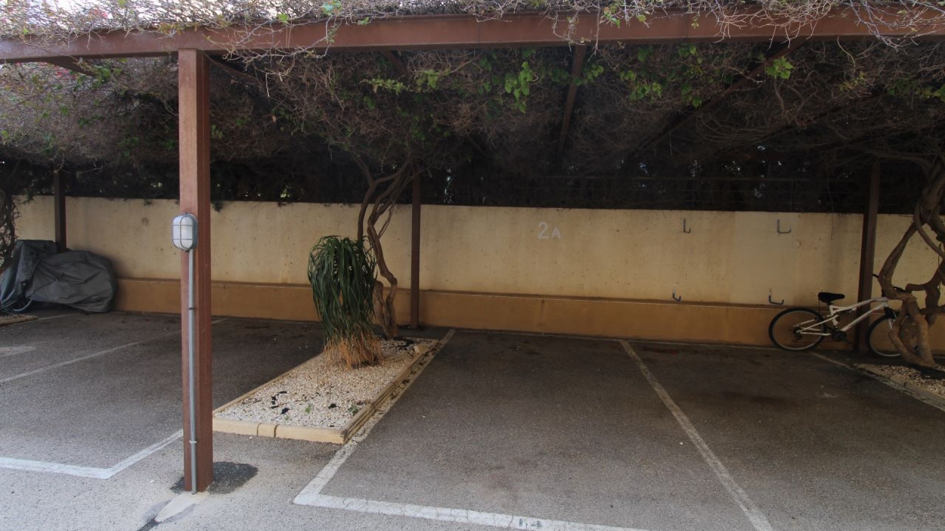 Wiederverkauf - Wohnung - Cabo Roig - beachside cabo roig