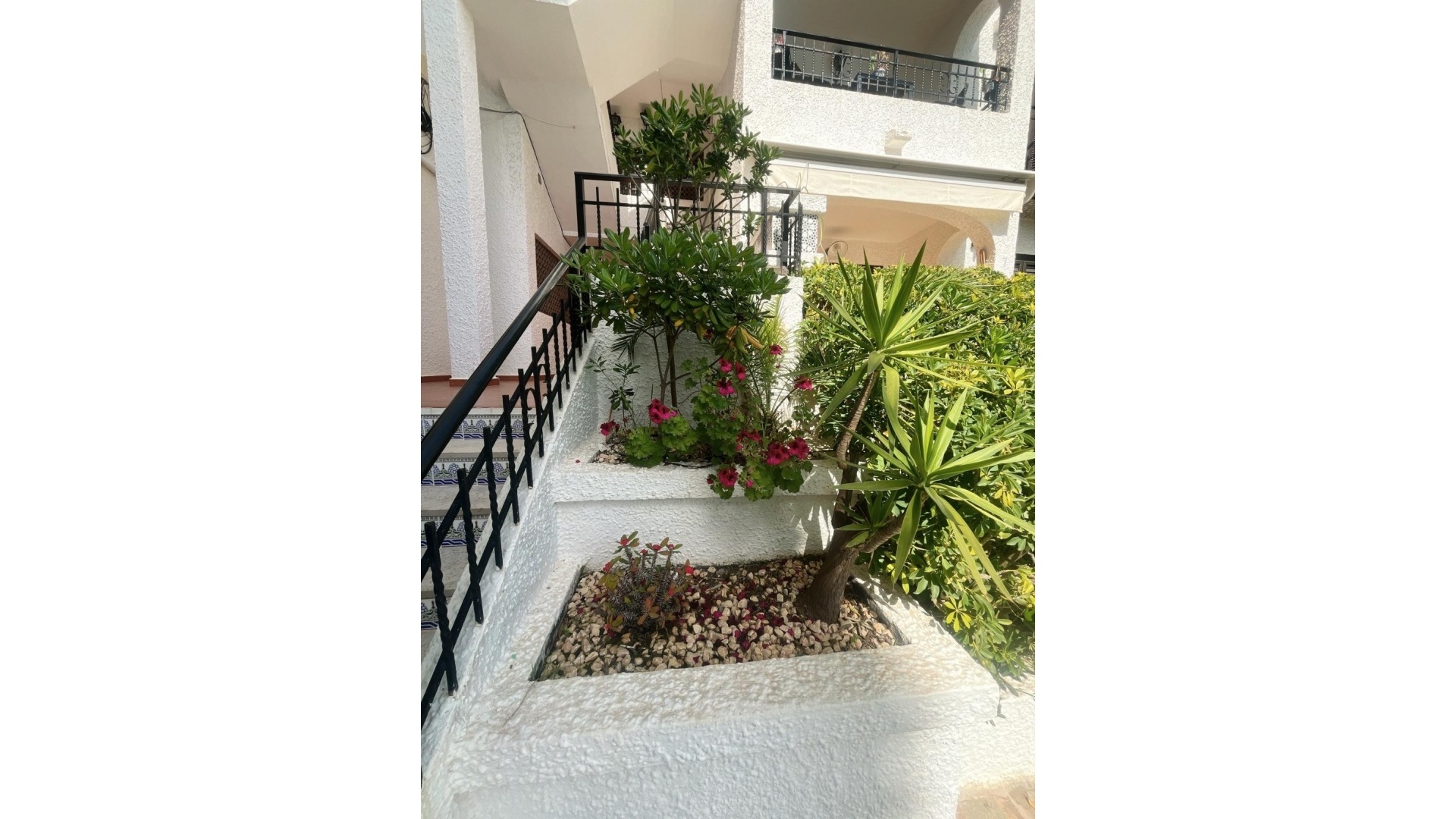 Wiederverkauf - Wohnung - Cabo Roig - beachside cabo roig