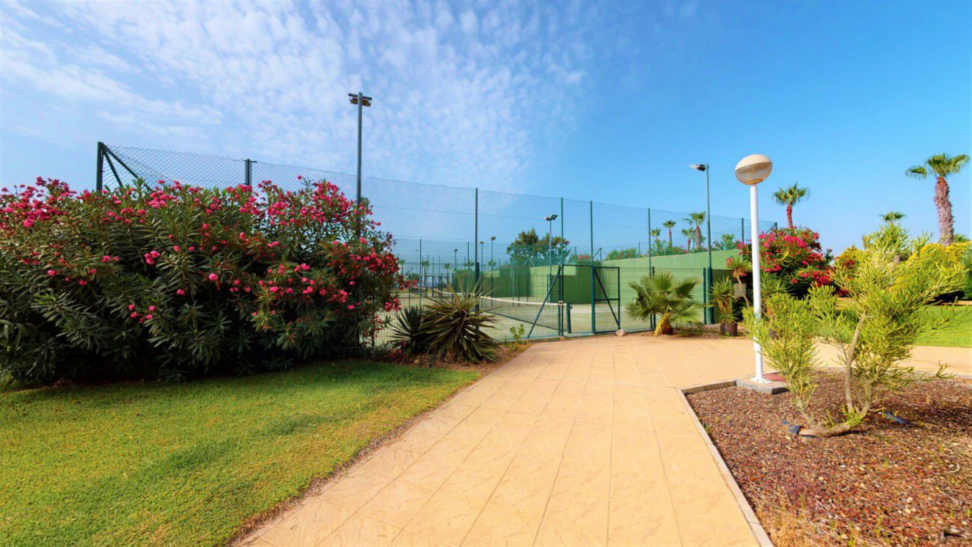 Wiederverkauf - Wohnung - Cabo Roig - beachside cabo roig