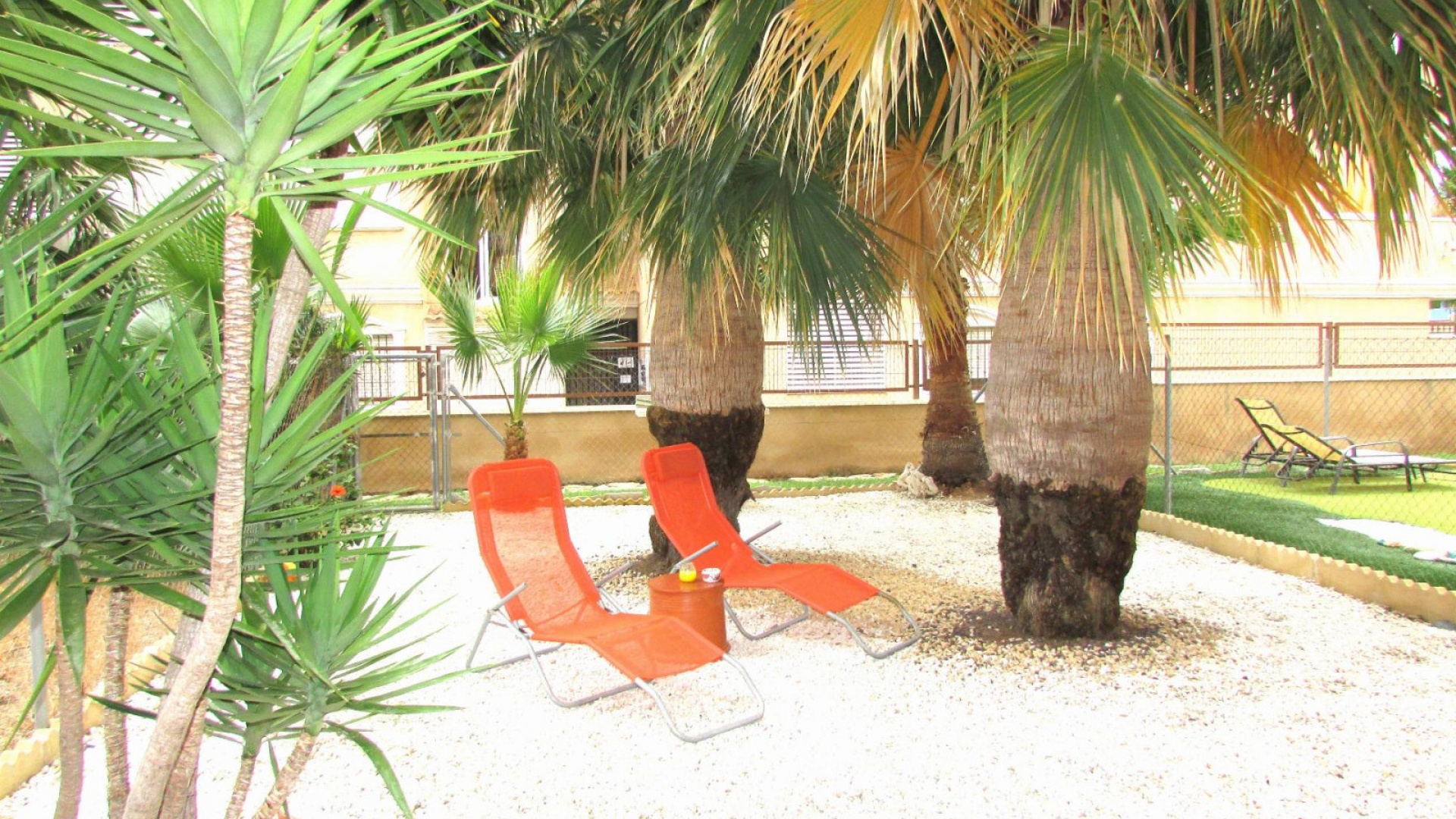 Wiederverkauf - Wohnung - Cabo Roig - beachside cabo roig