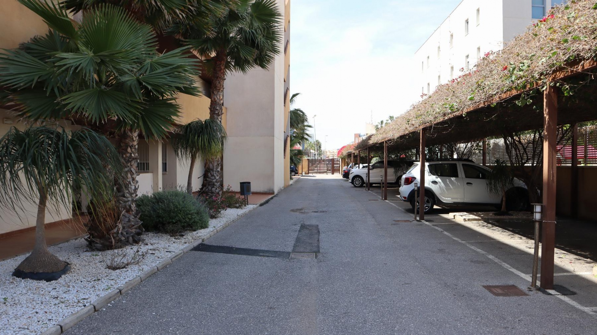 Wiederverkauf - Wohnung - Cabo Roig - beachside cabo roig