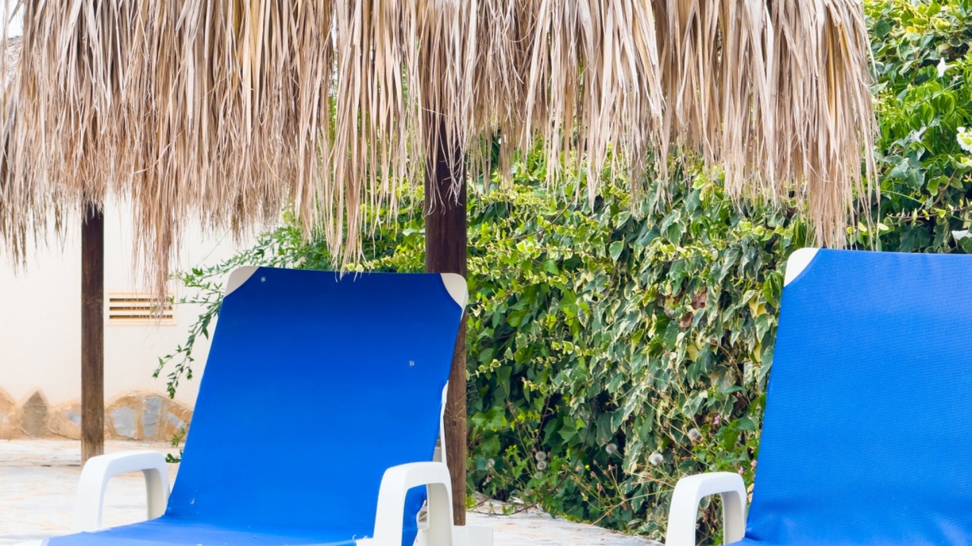 Wiederverkauf - Wohnung - Cabo Roig - Costa Blanca South