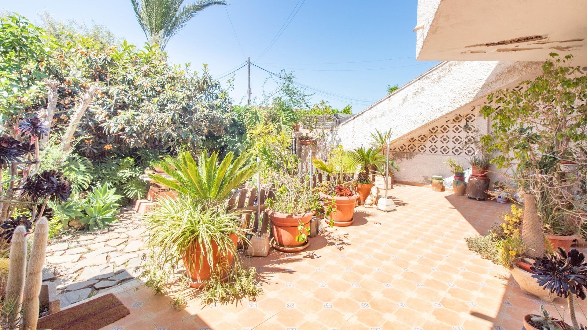 Wiederverkauf - Wohnung - Cabo Roig - la regia