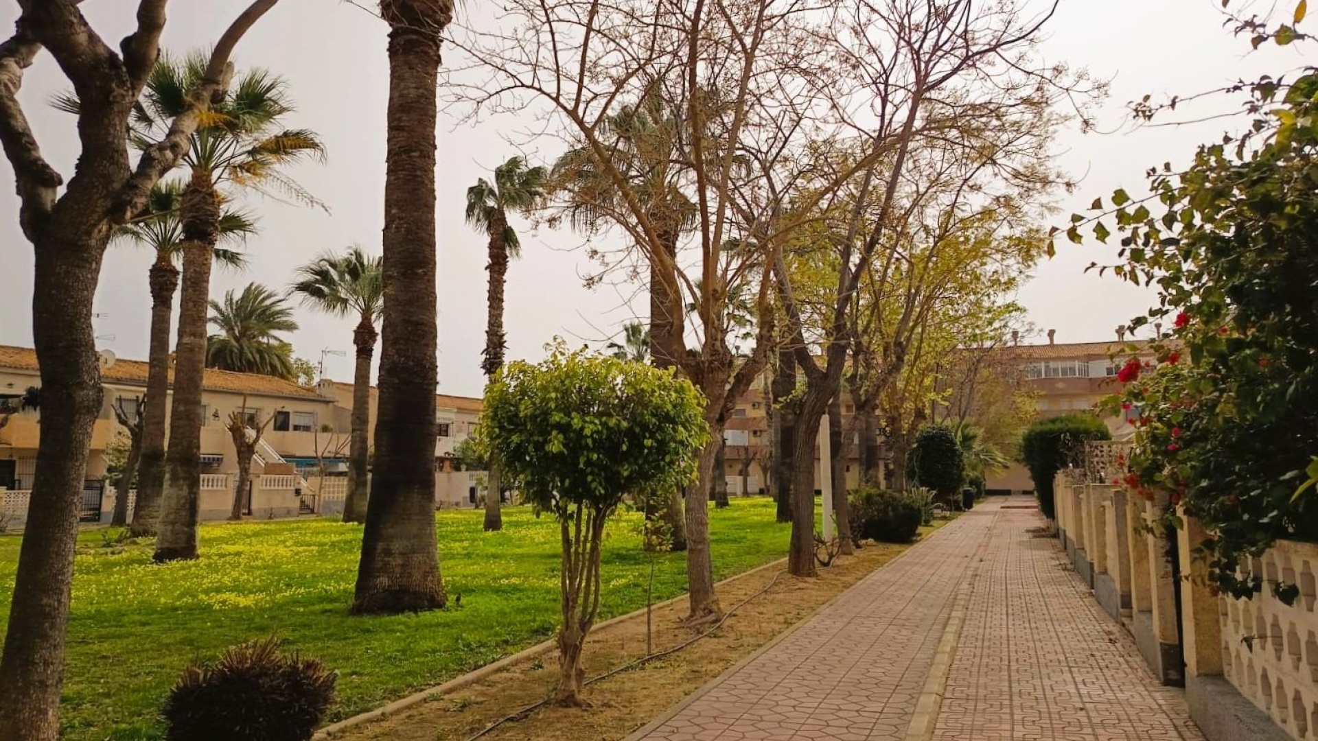 Wiederverkauf - Wohnung - Cabo Roig - la regia