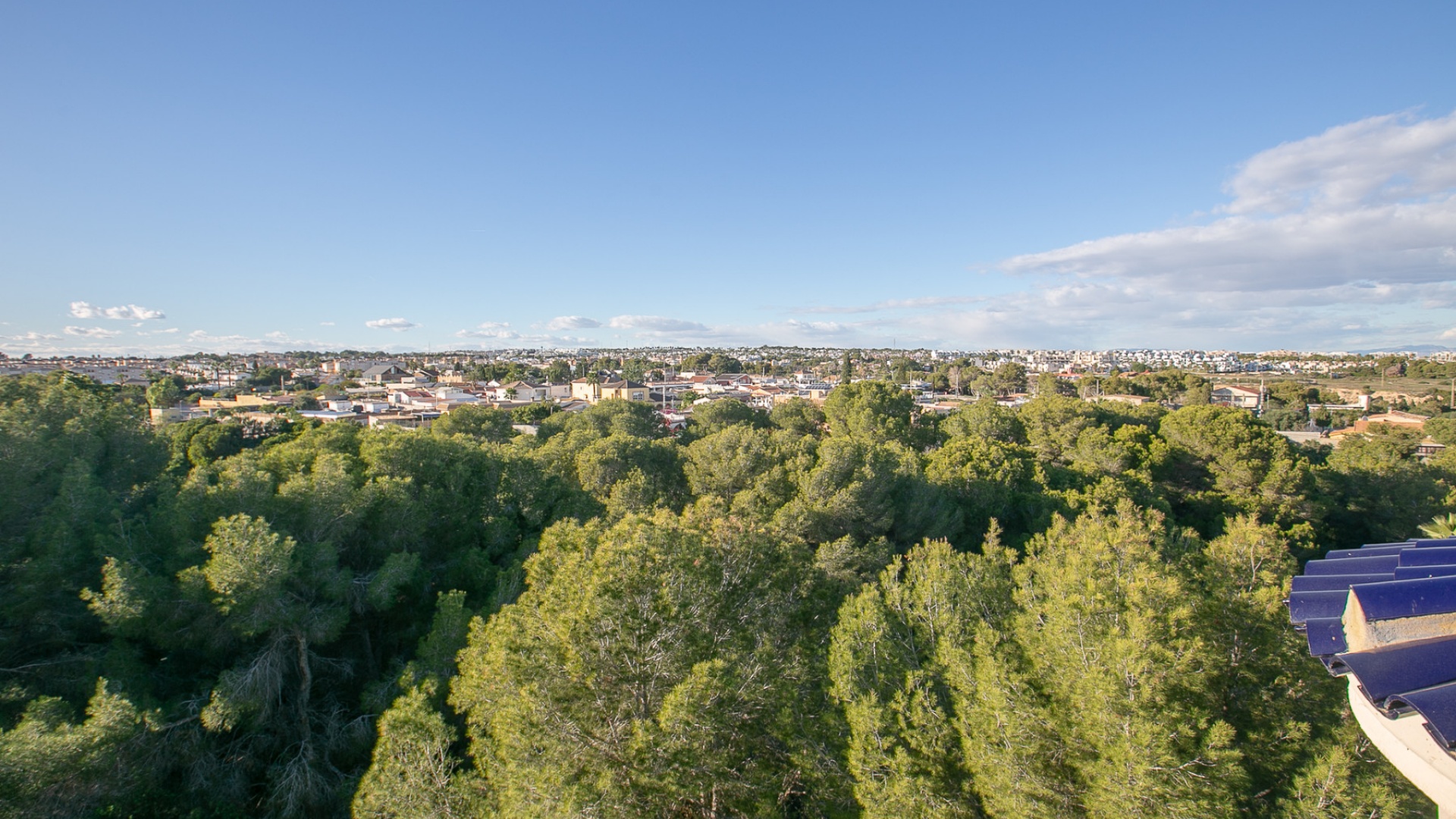 Wiederverkauf - Wohnung - Cabo Roig - Lomas de Cabo Roig