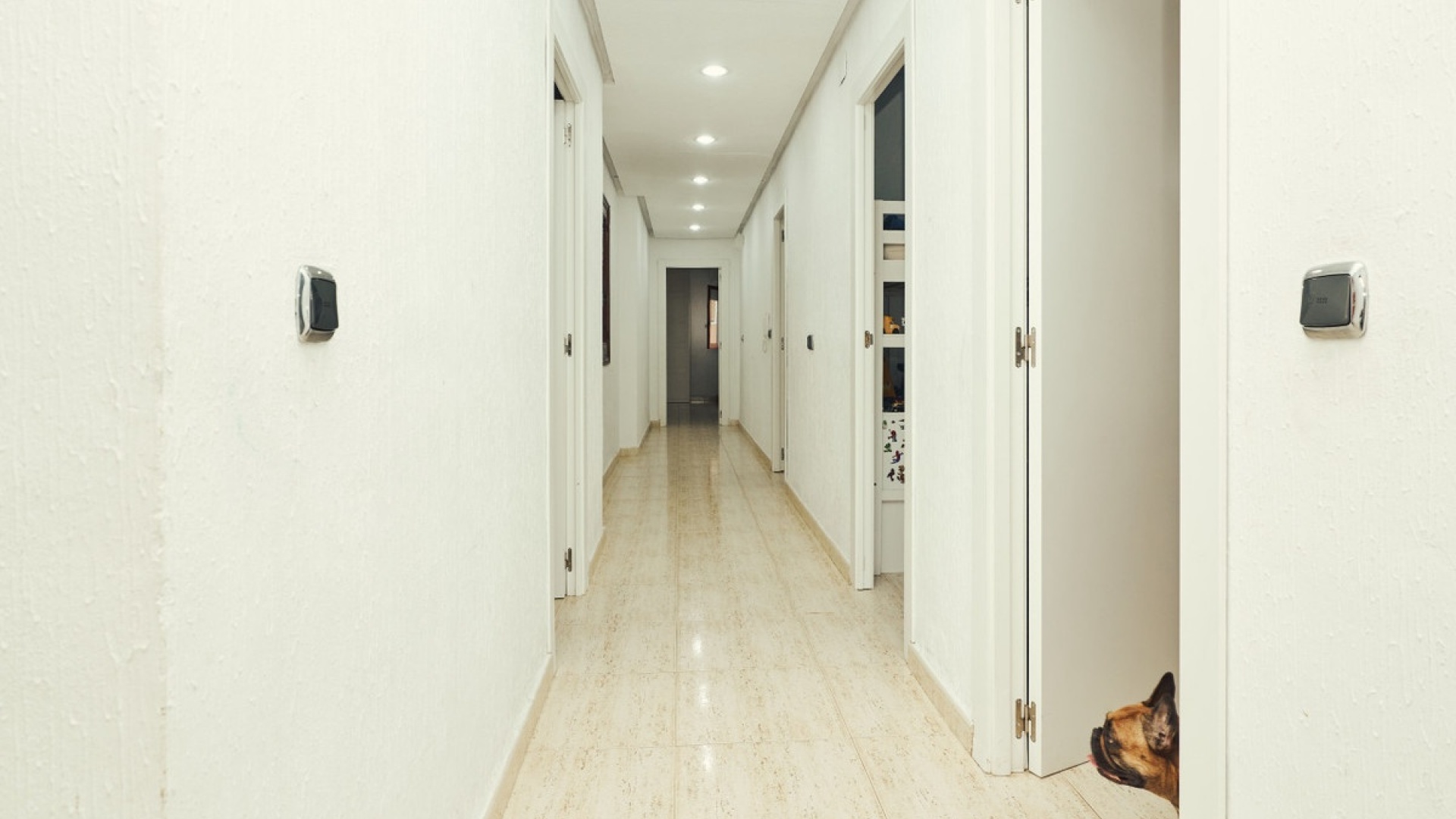 Wiederverkauf - Wohnung - Dolores - Dolores Centro