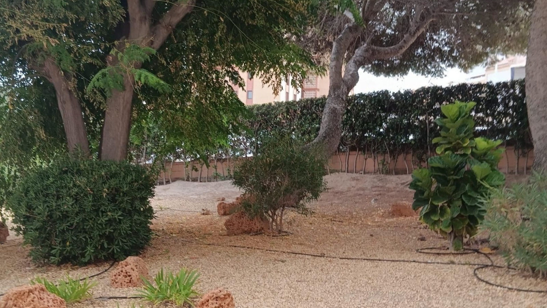 Wiederverkauf - Wohnung - Elche - Arenales del Sol