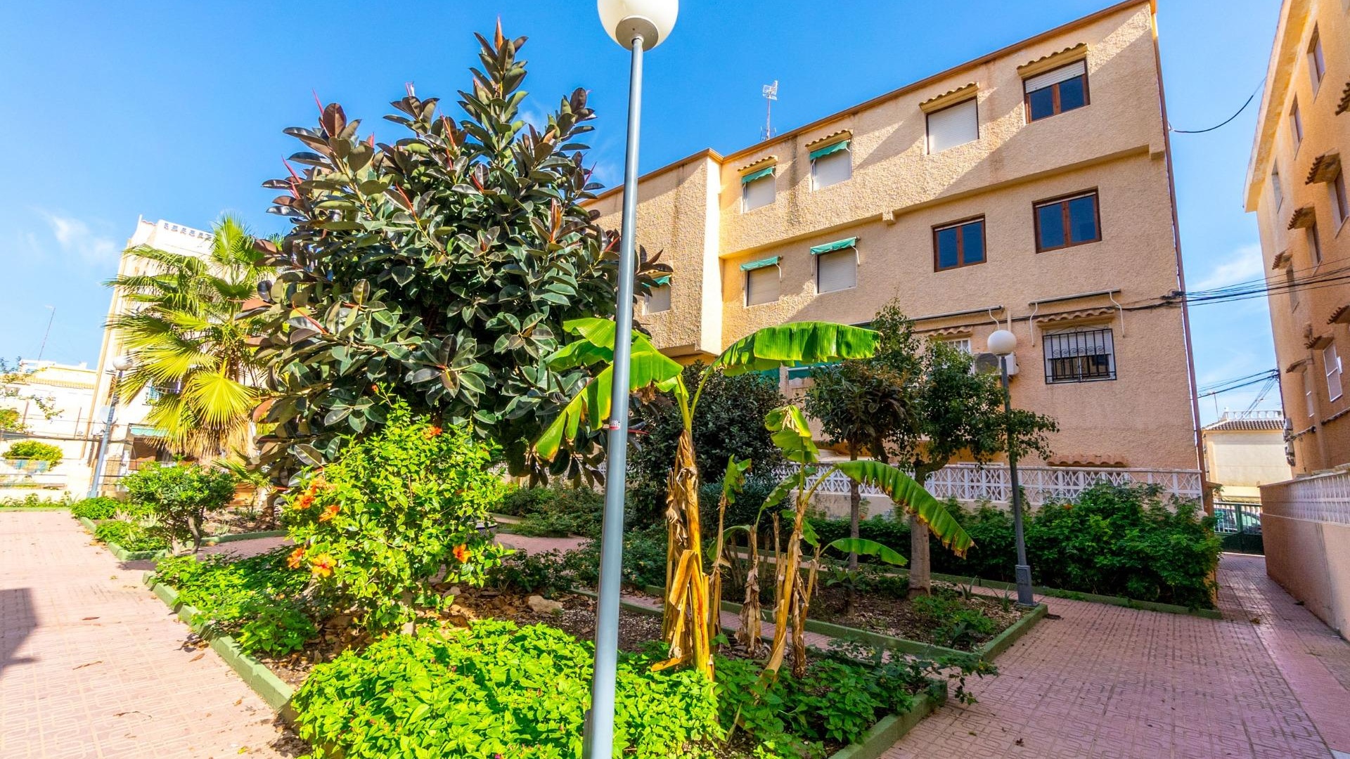 Wiederverkauf - Wohnung - La Mata