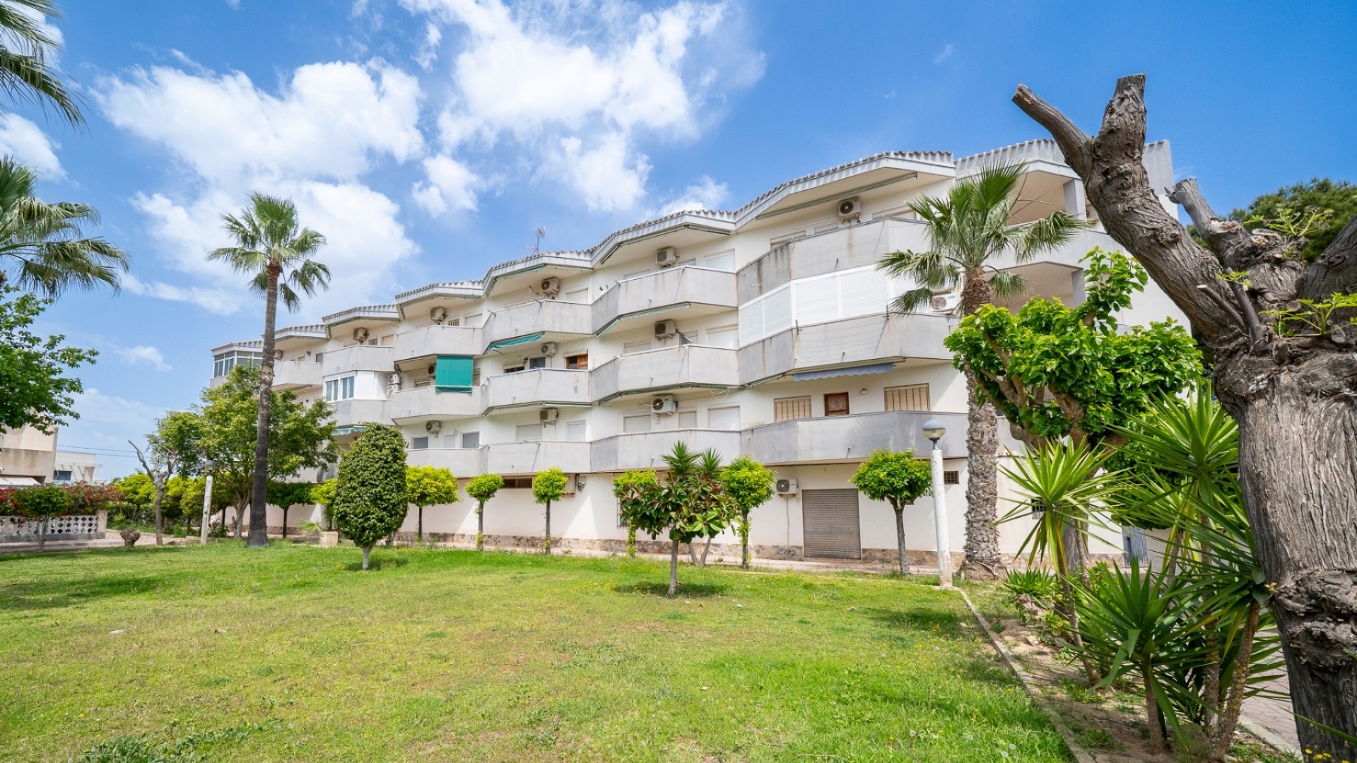 Wiederverkauf - Wohnung - Orihuela Costa - Cabo Roig