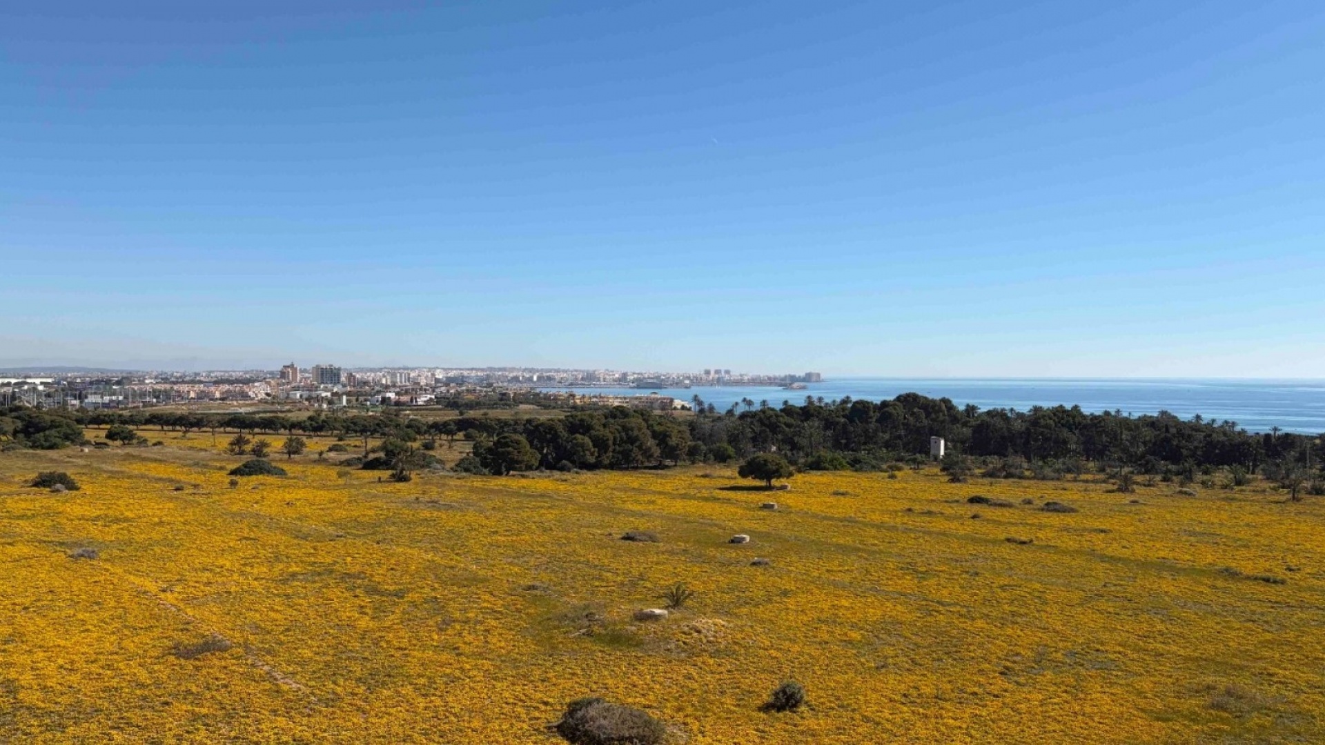 Wiederverkauf - Wohnung - Orihuela Costa - Punta Prima