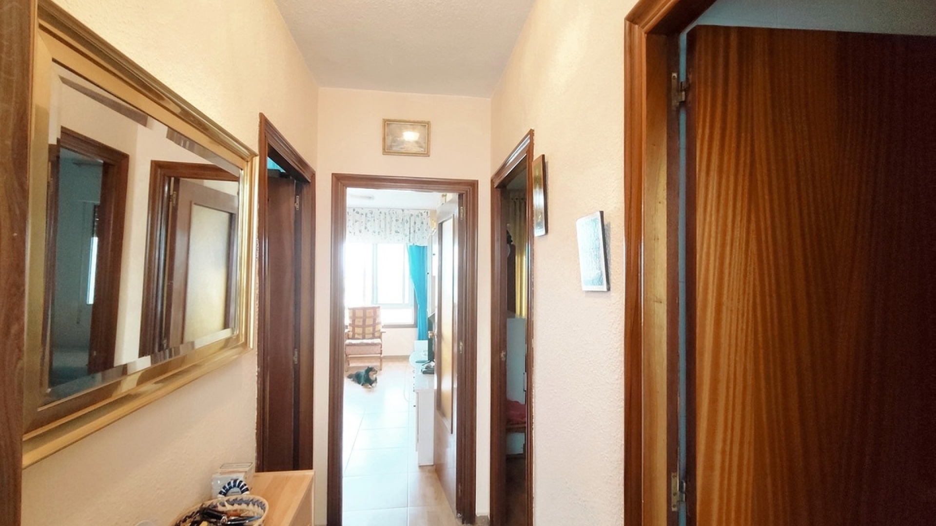 Wiederverkauf - Wohnung - Orihuela - La Zenia