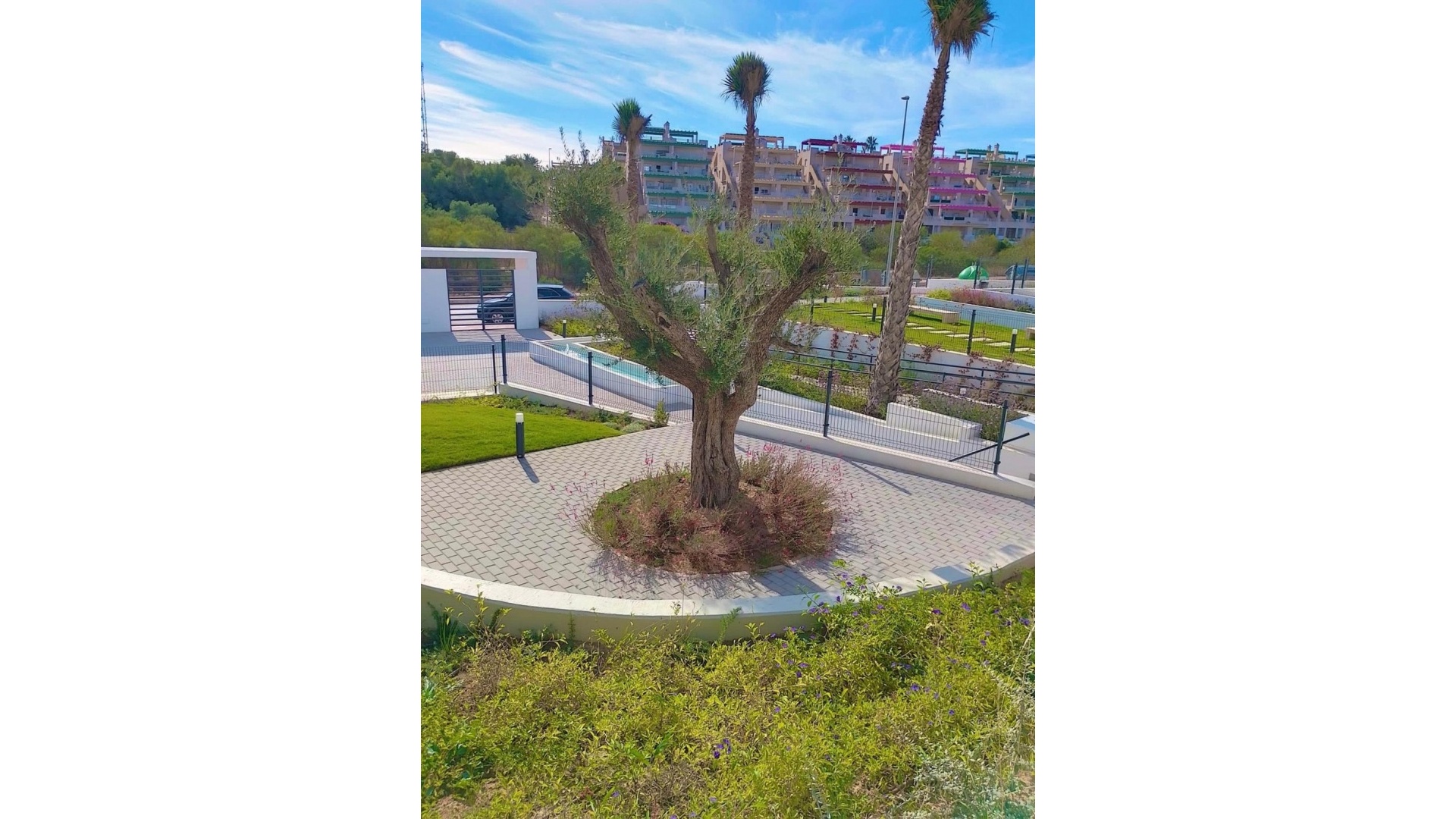 Wiederverkauf - Wohnung - Orihuela - Villamartin