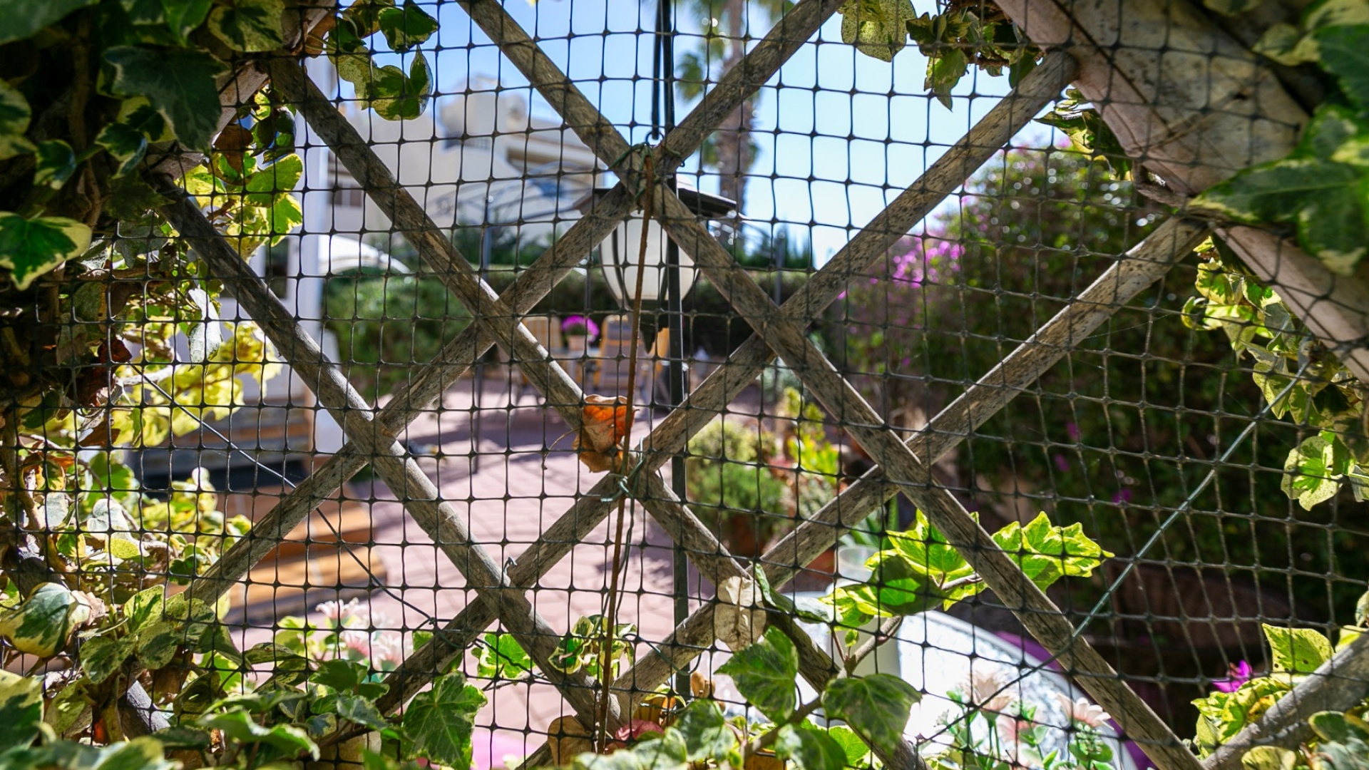 Wiederverkauf - Wohnung - Playa Flamenca - jumilla