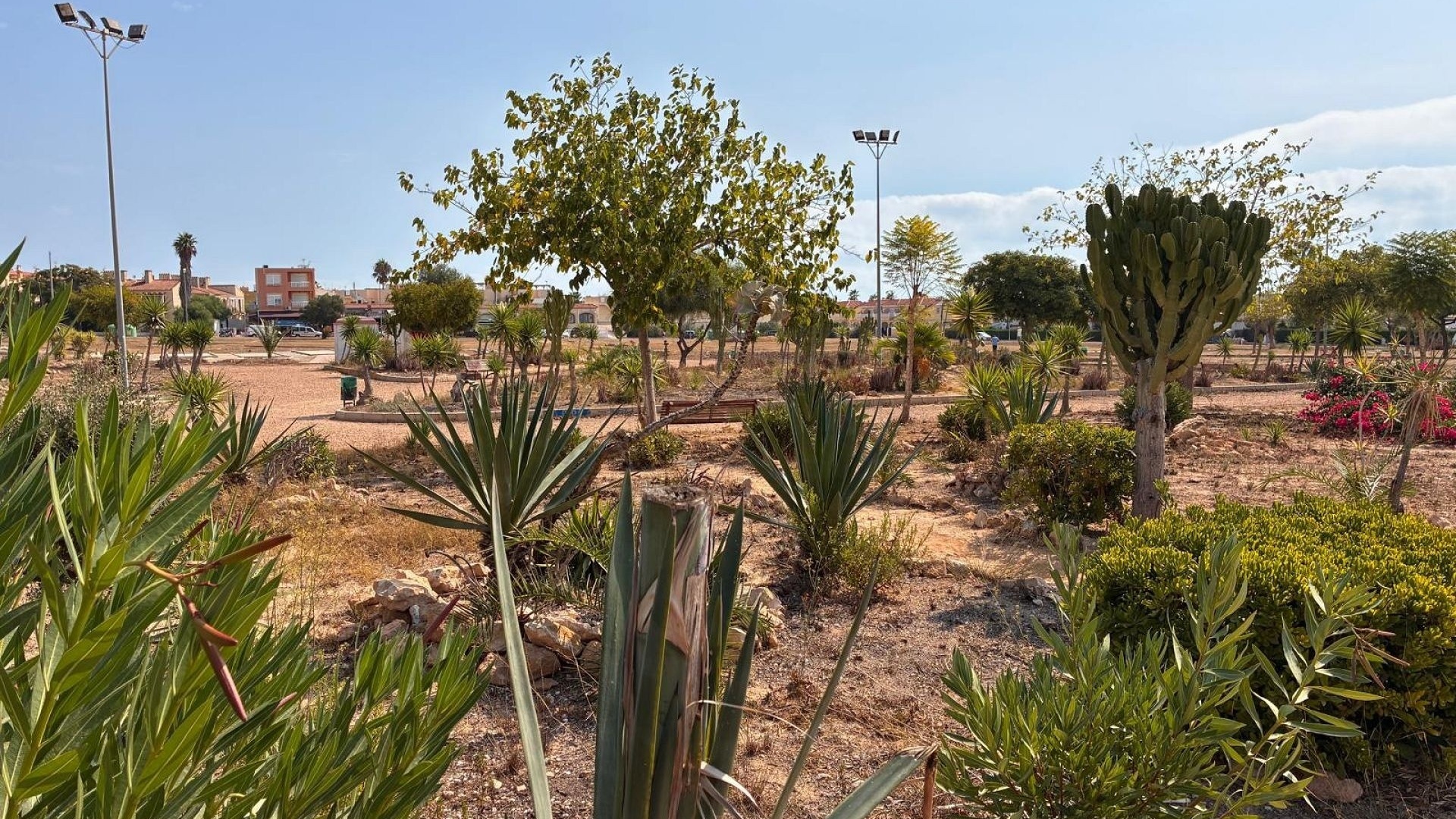 Wiederverkauf - Wohnung - Playa Flamenca - las chismosas