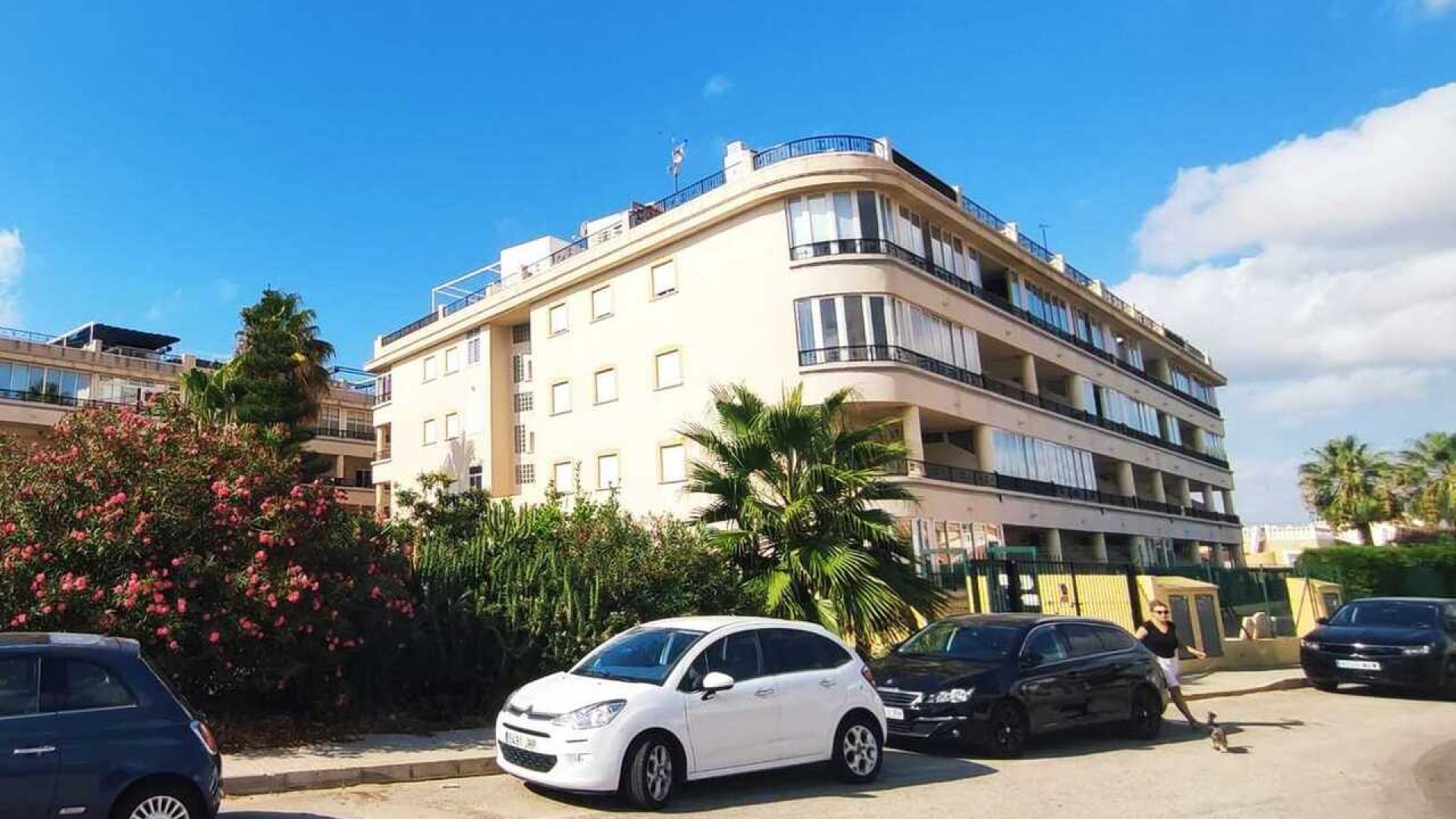 Wiederverkauf - Wohnung - Playa Flamenca - Play Flamenca