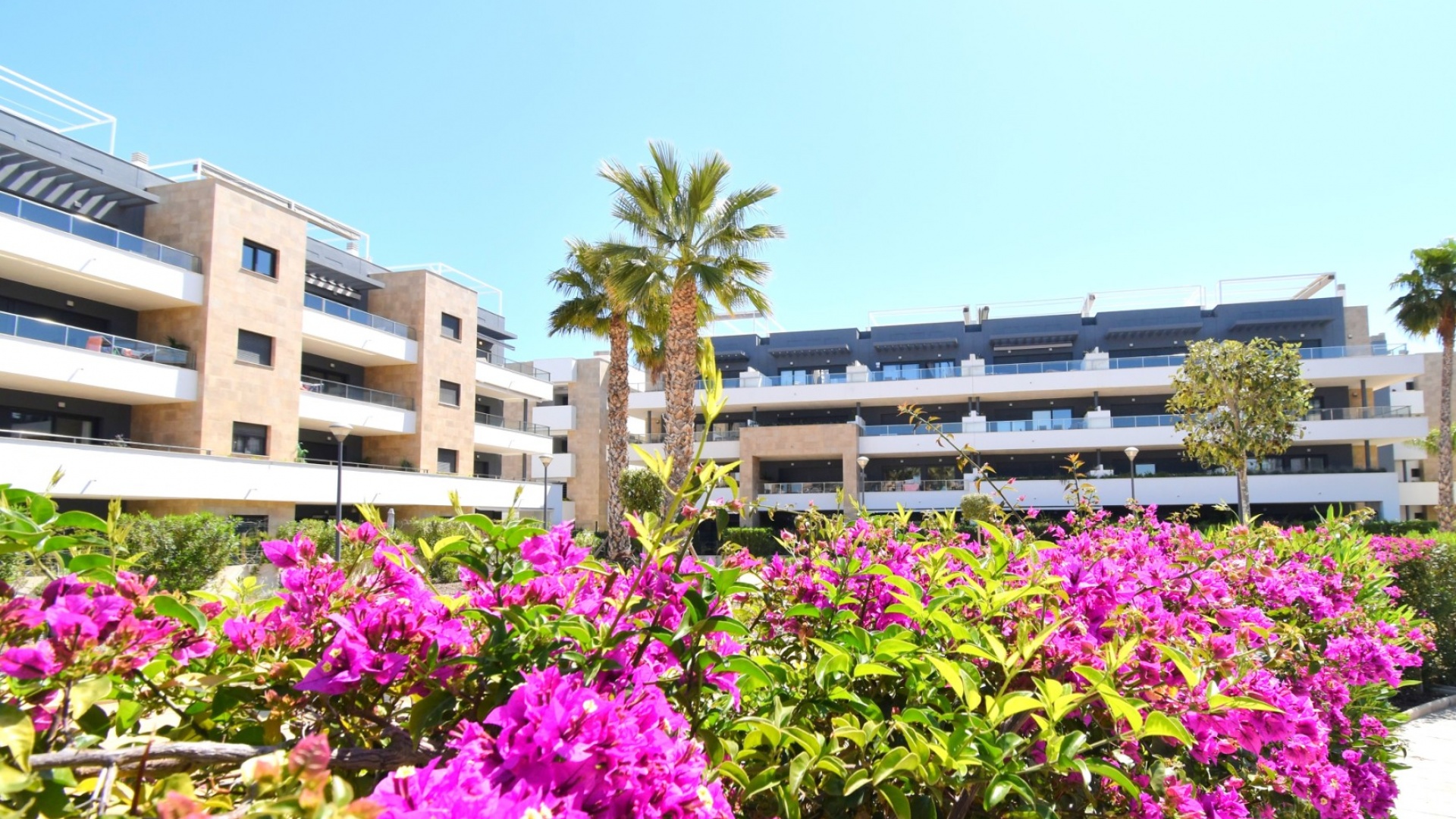 Wiederverkauf - Wohnung - Playa Flamenca - Res. Flamenca Village