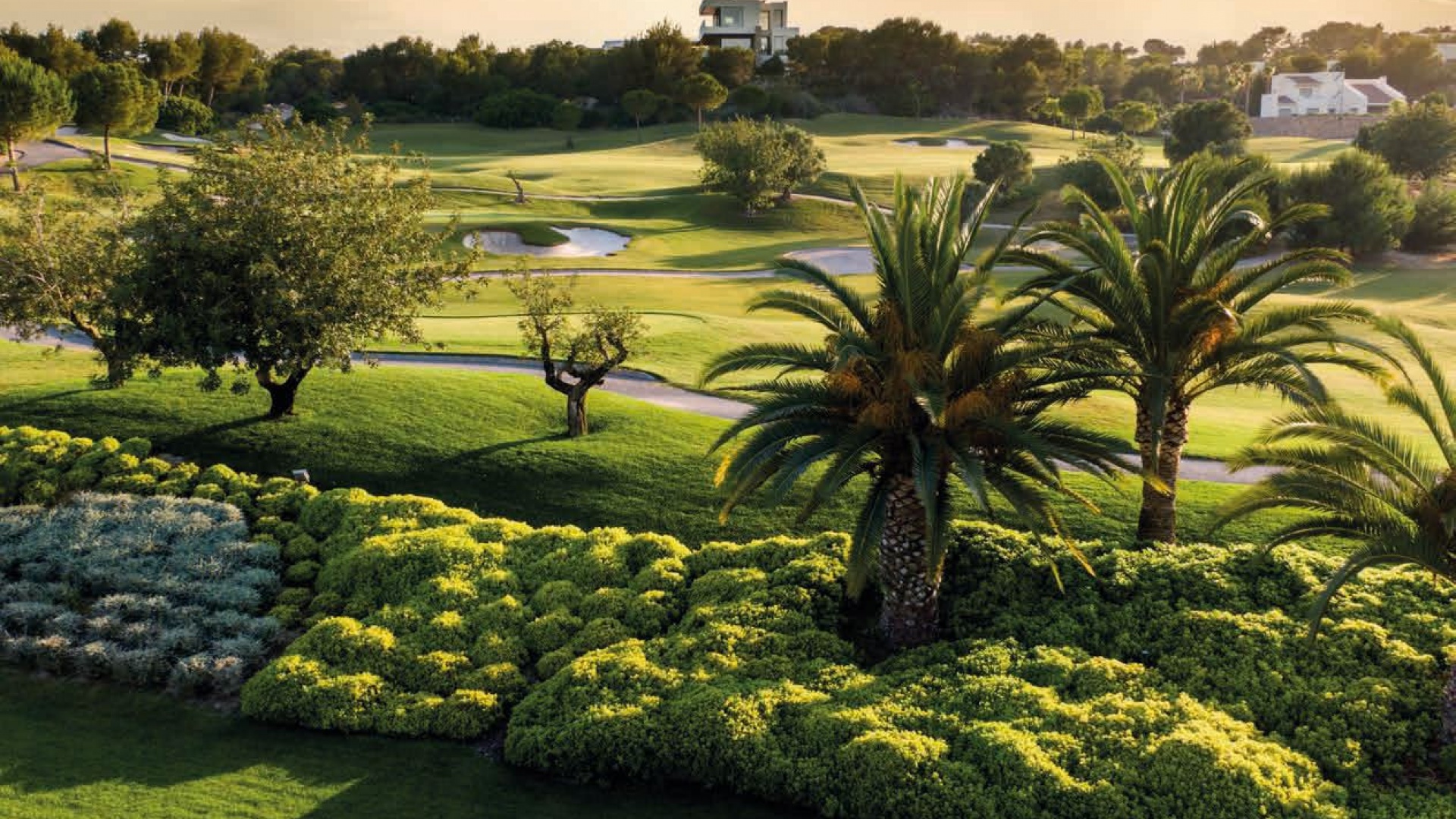 Wiederverkauf - Wohnung - Playa Flamenca - zeniamar