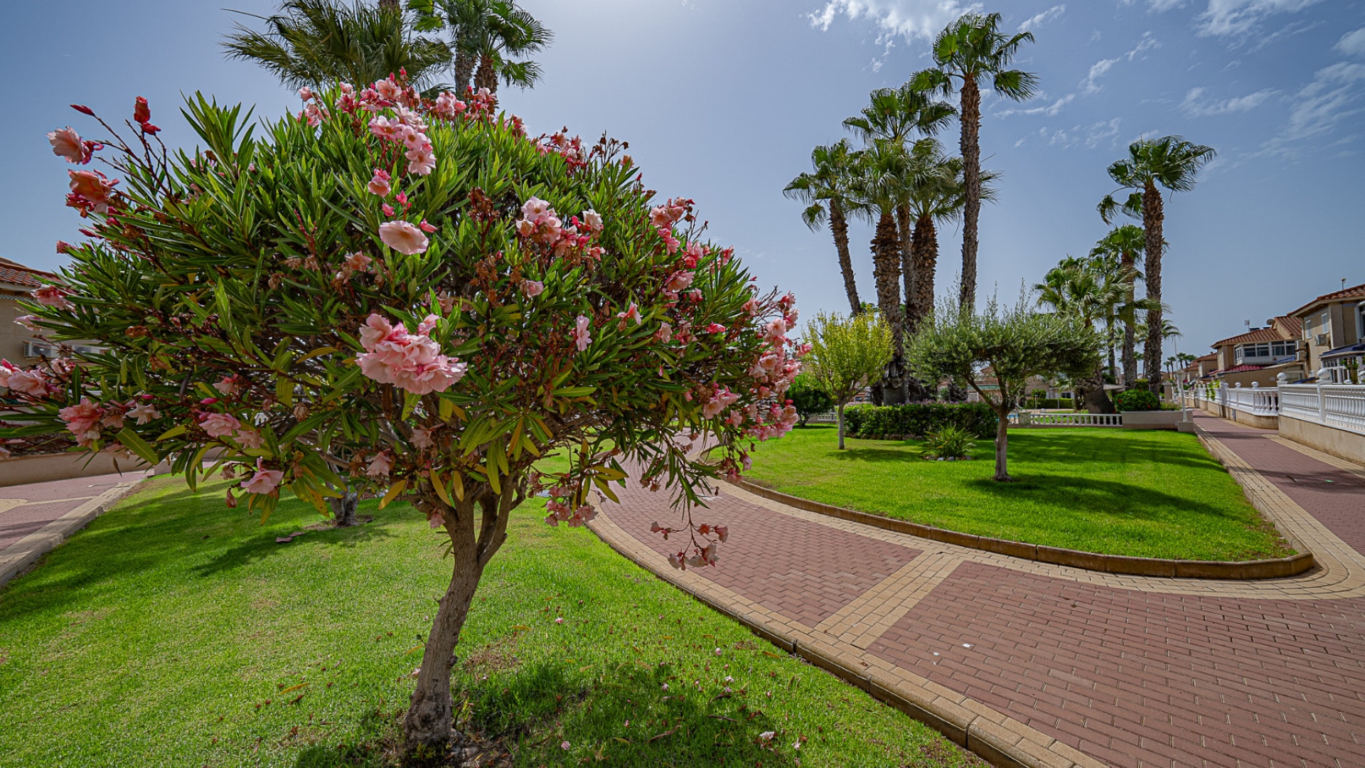 Wiederverkauf - Wohnung - Playa Flamenca - zeniamar