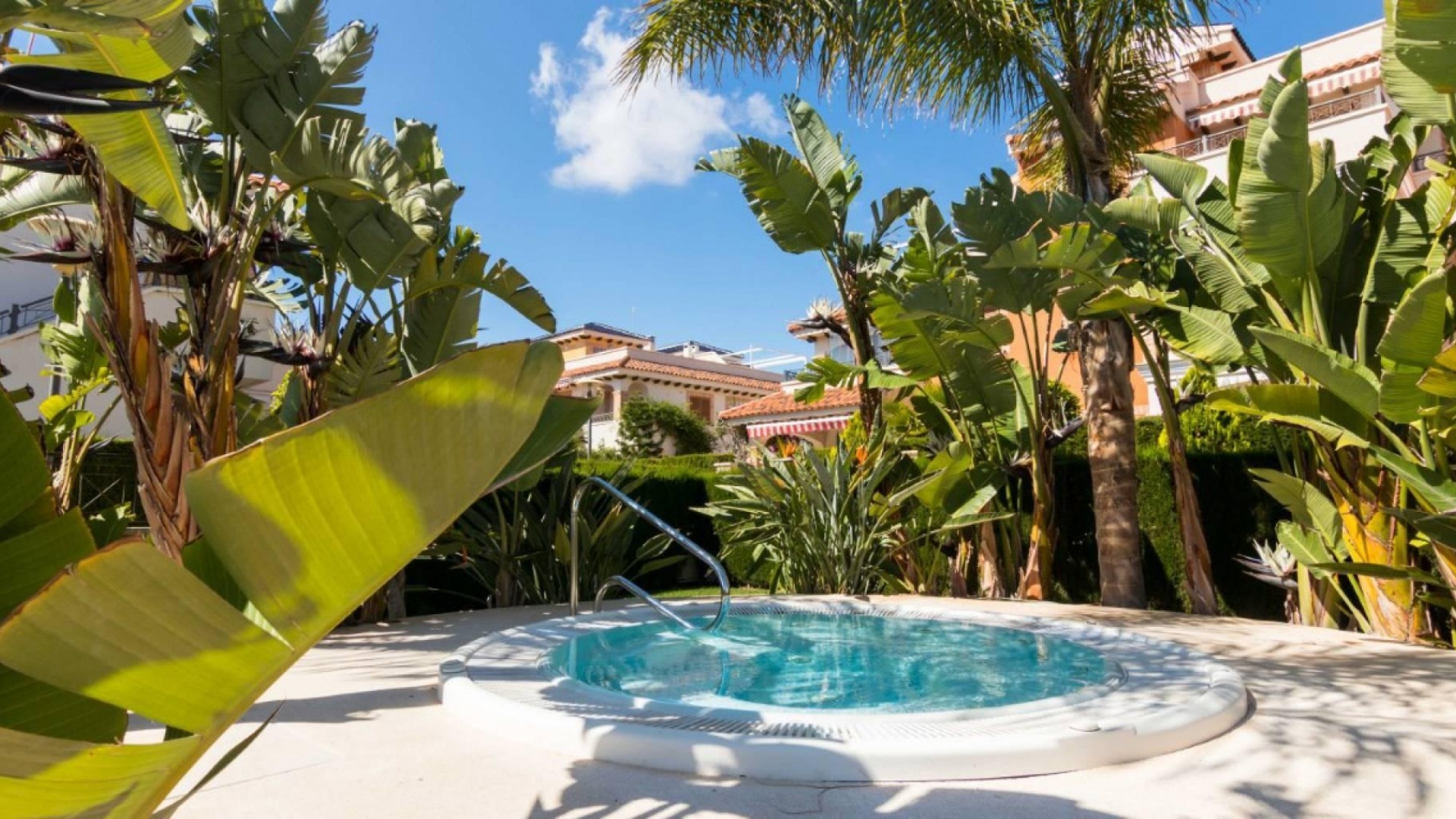Wiederverkauf - Wohnung - Playa Flamenca - zeniamar