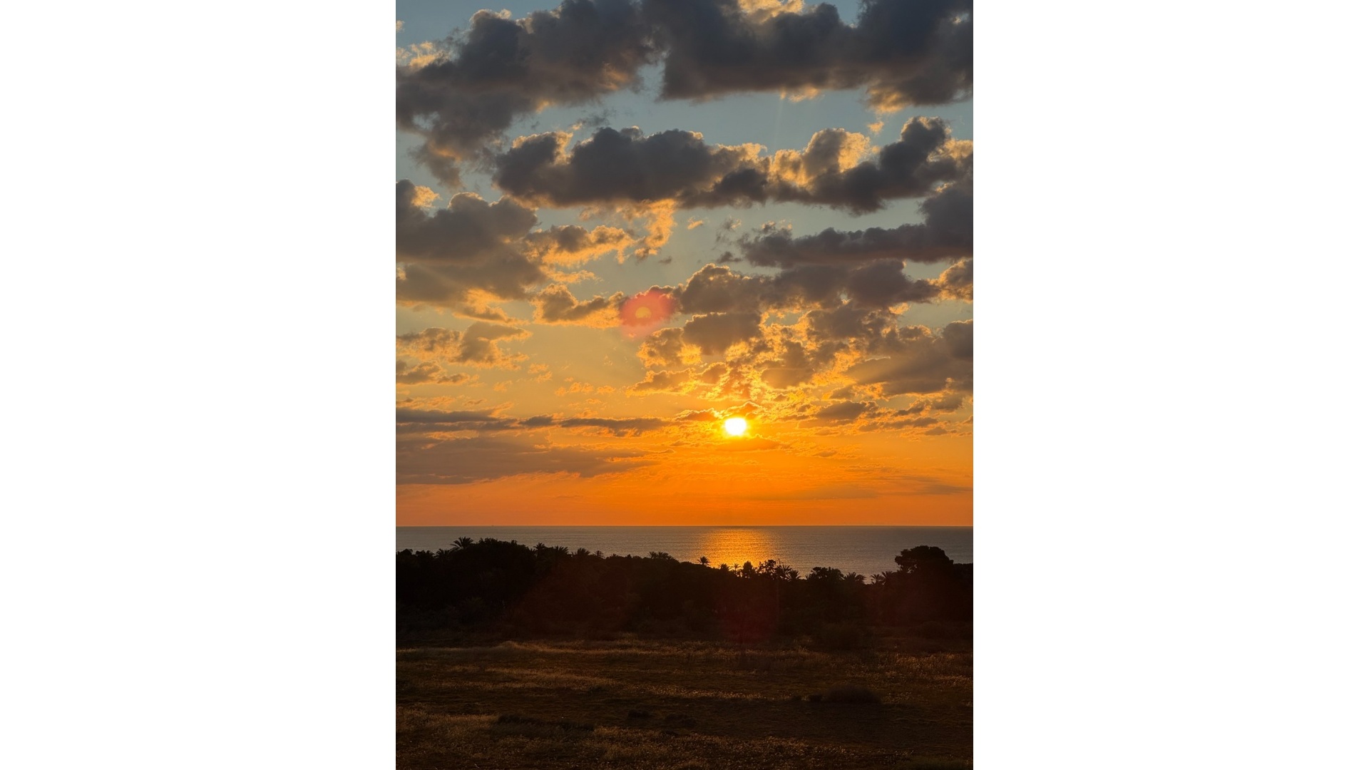 Wiederverkauf - Wohnung - Punta Prima - beachside punta prima