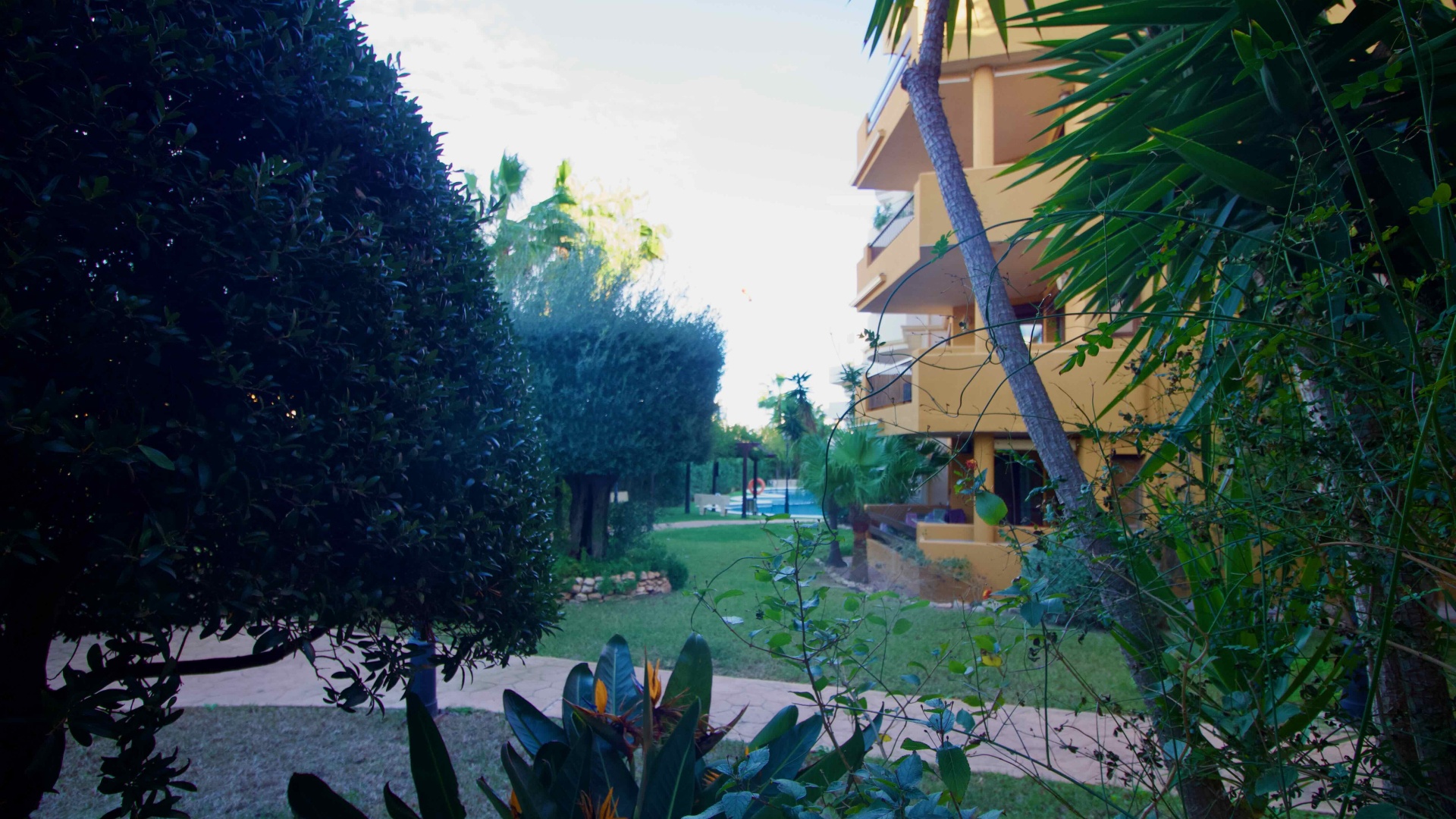 Wiederverkauf - Wohnung - Punta Prima - panorama park