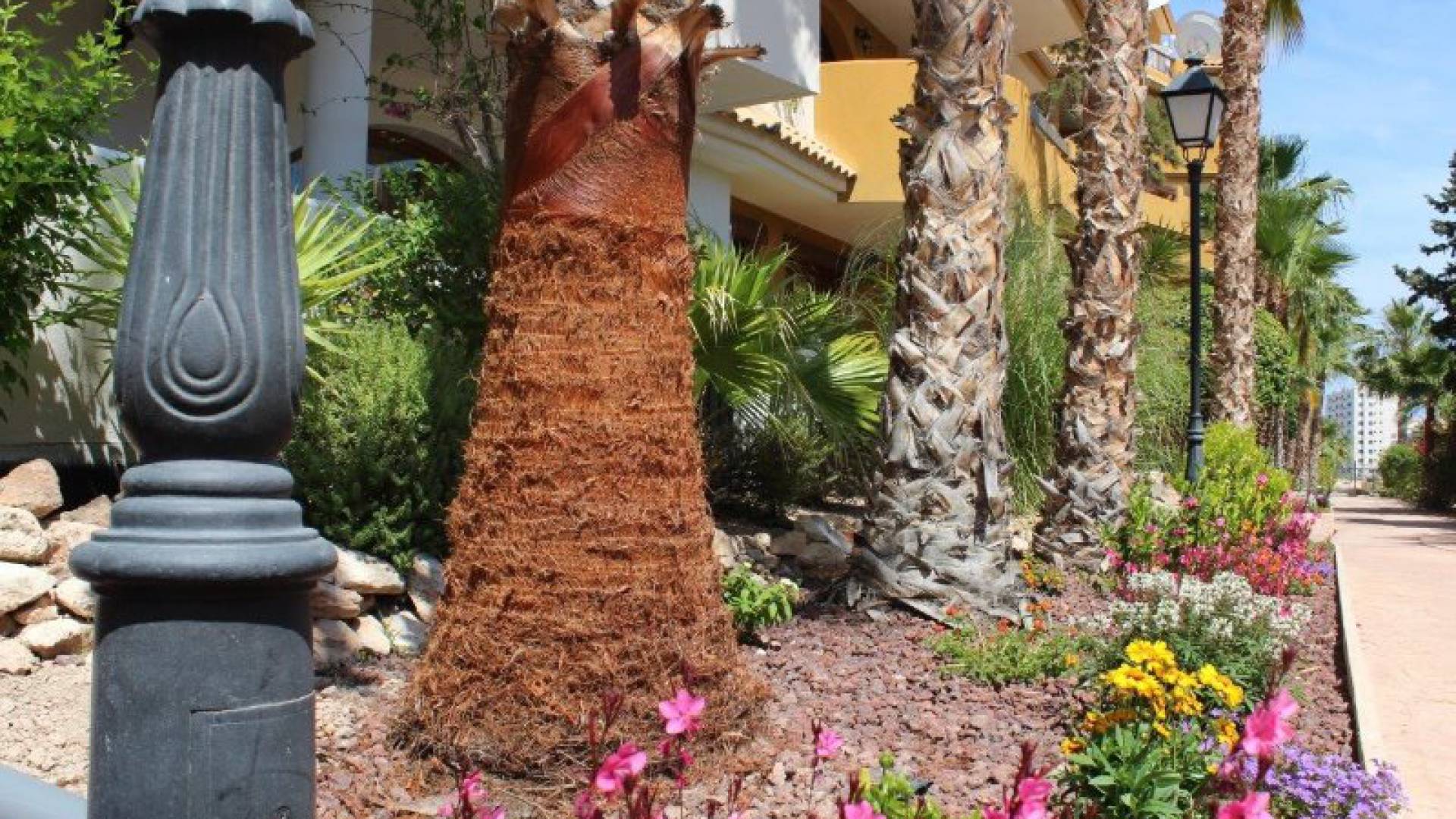 Wiederverkauf - Wohnung - Punta Prima - panorama park